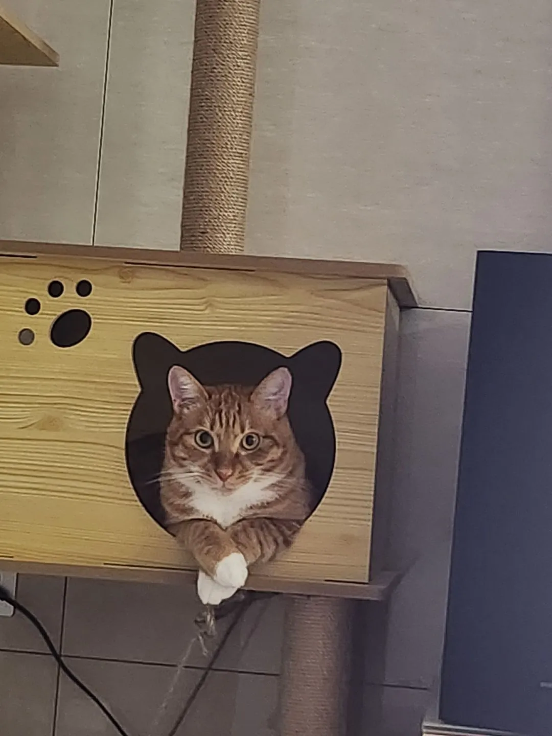 3번째 파일