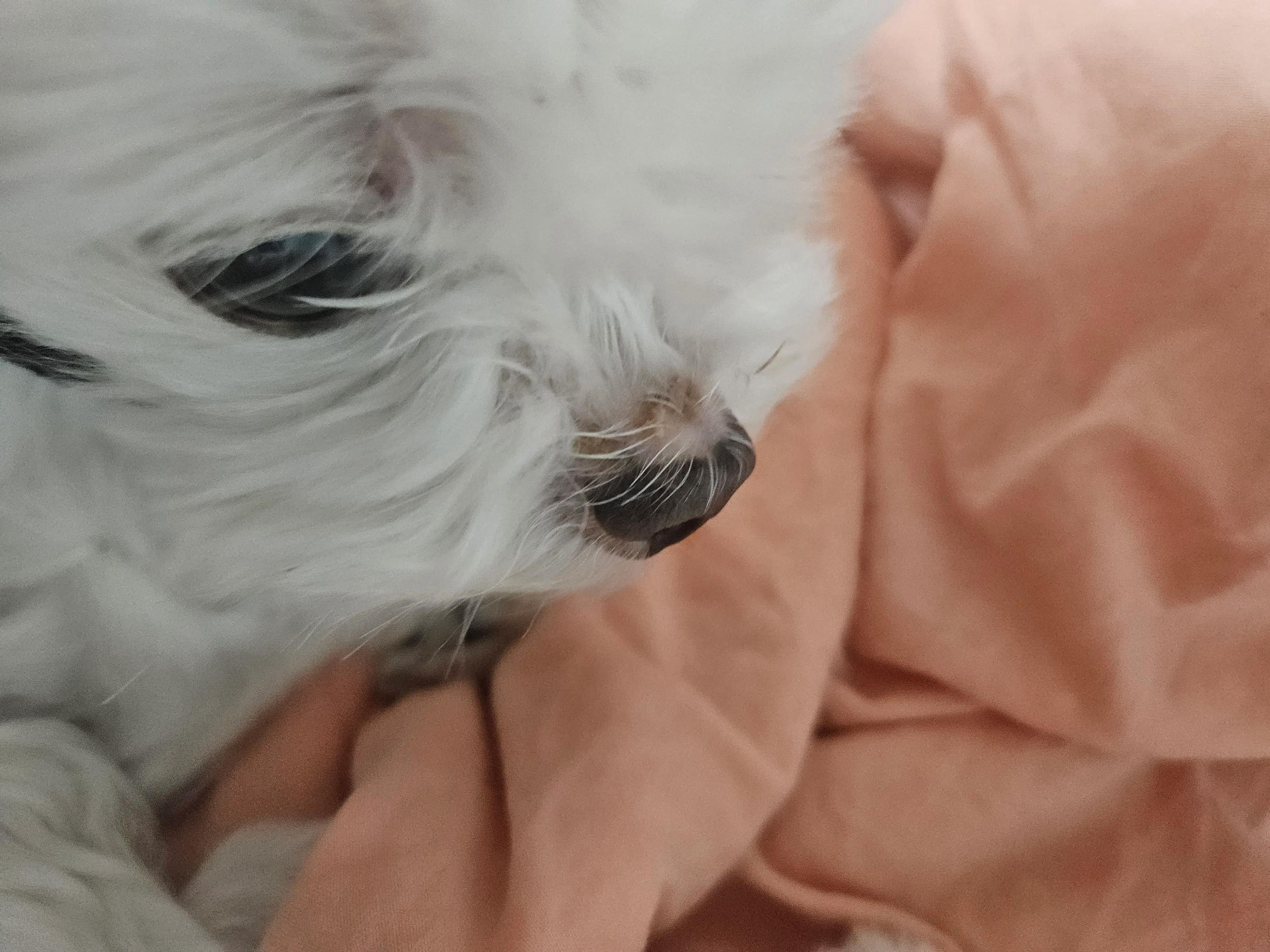 4번째 파일
