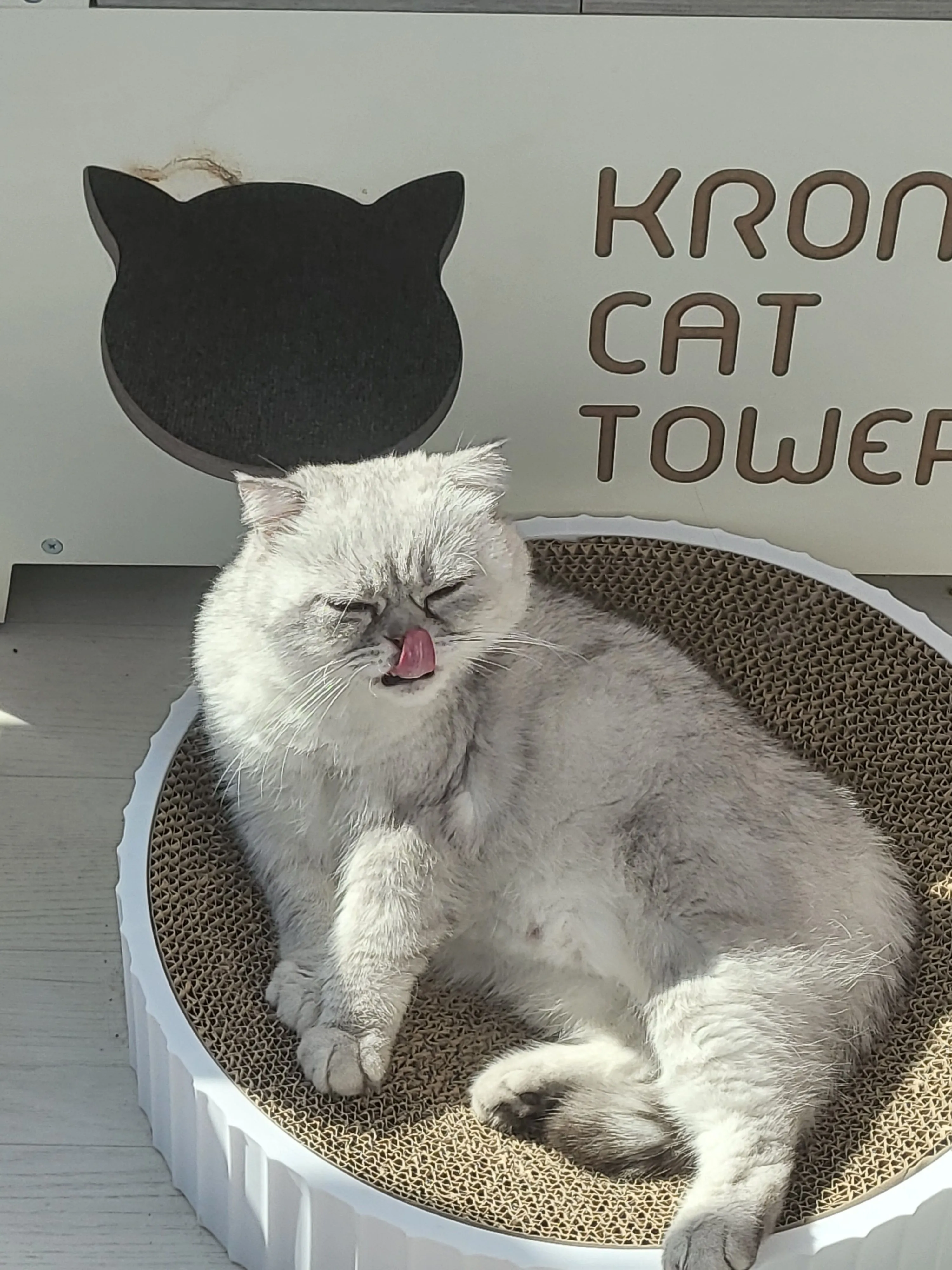 1번째 파일