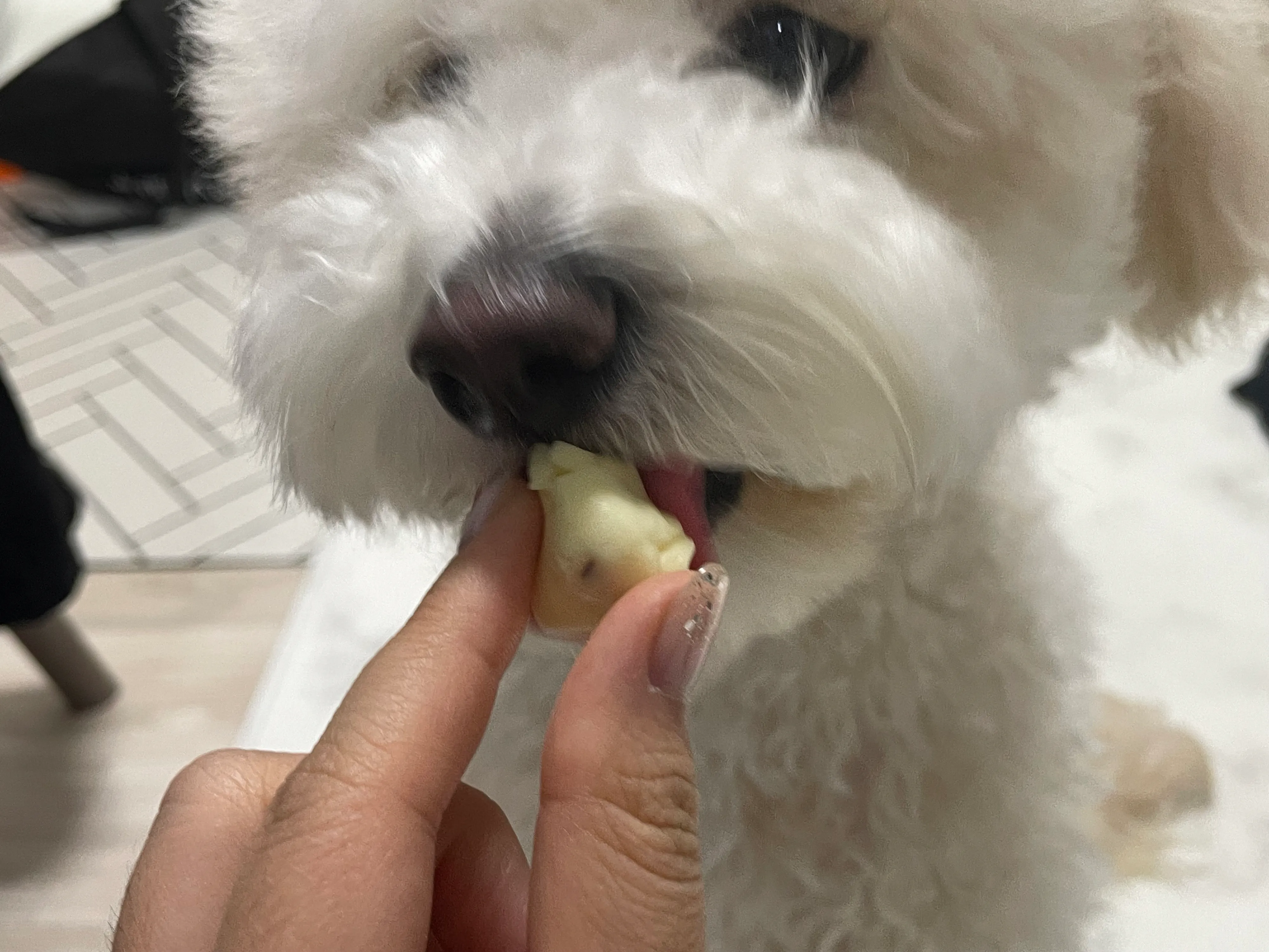 3번째 파일