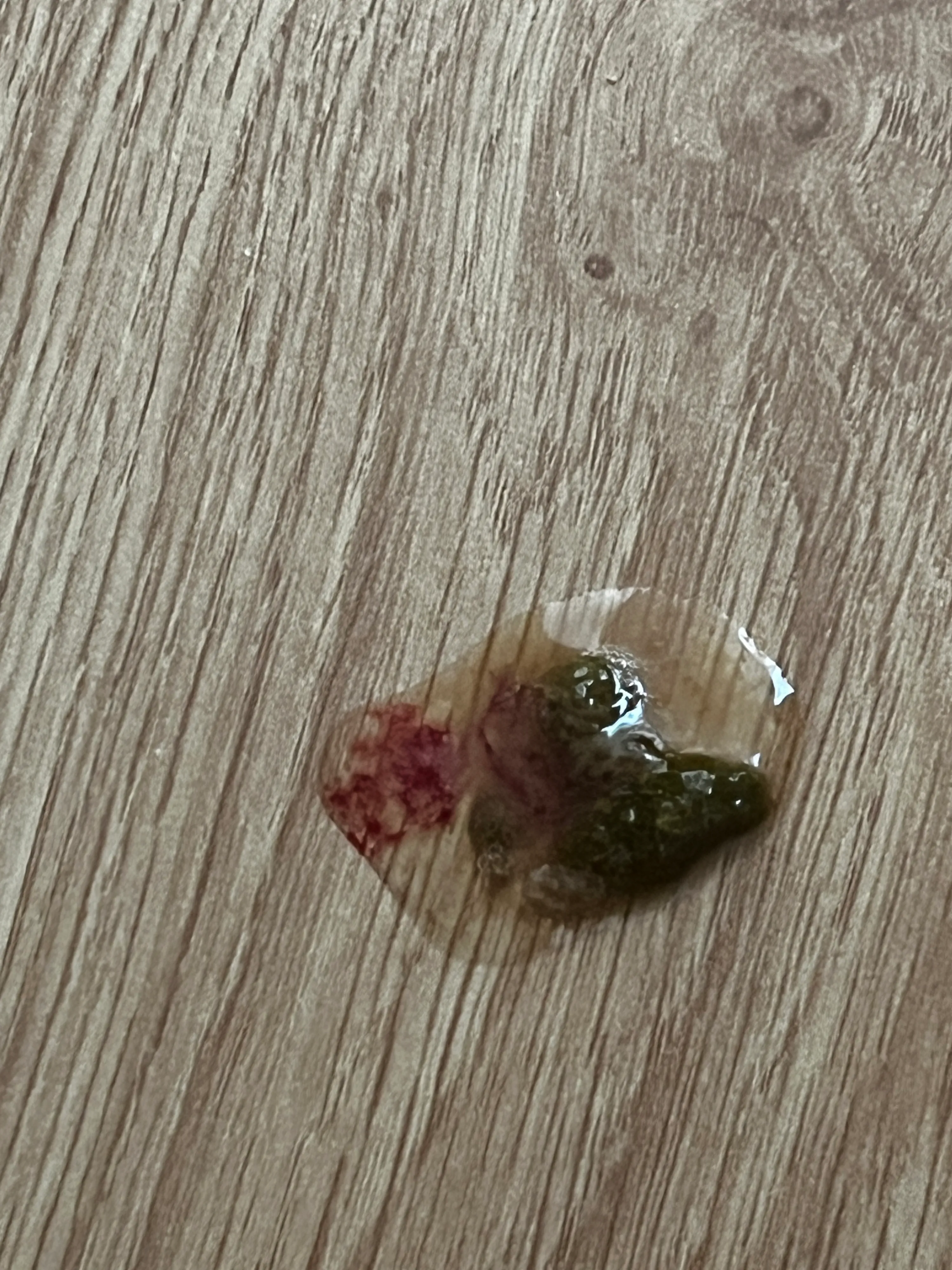 2번째 파일
