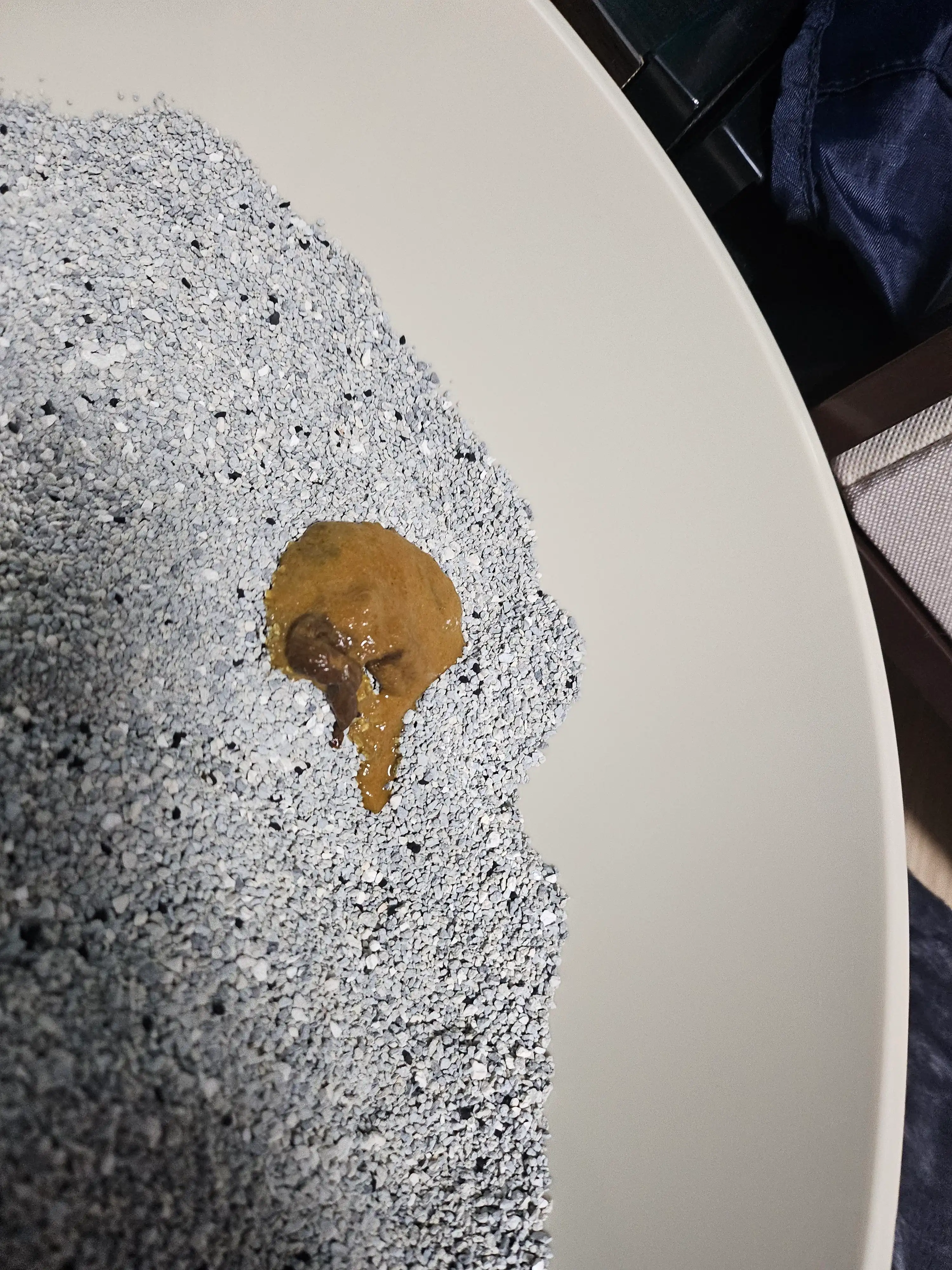 2번째 파일