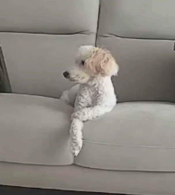 1번째 파일