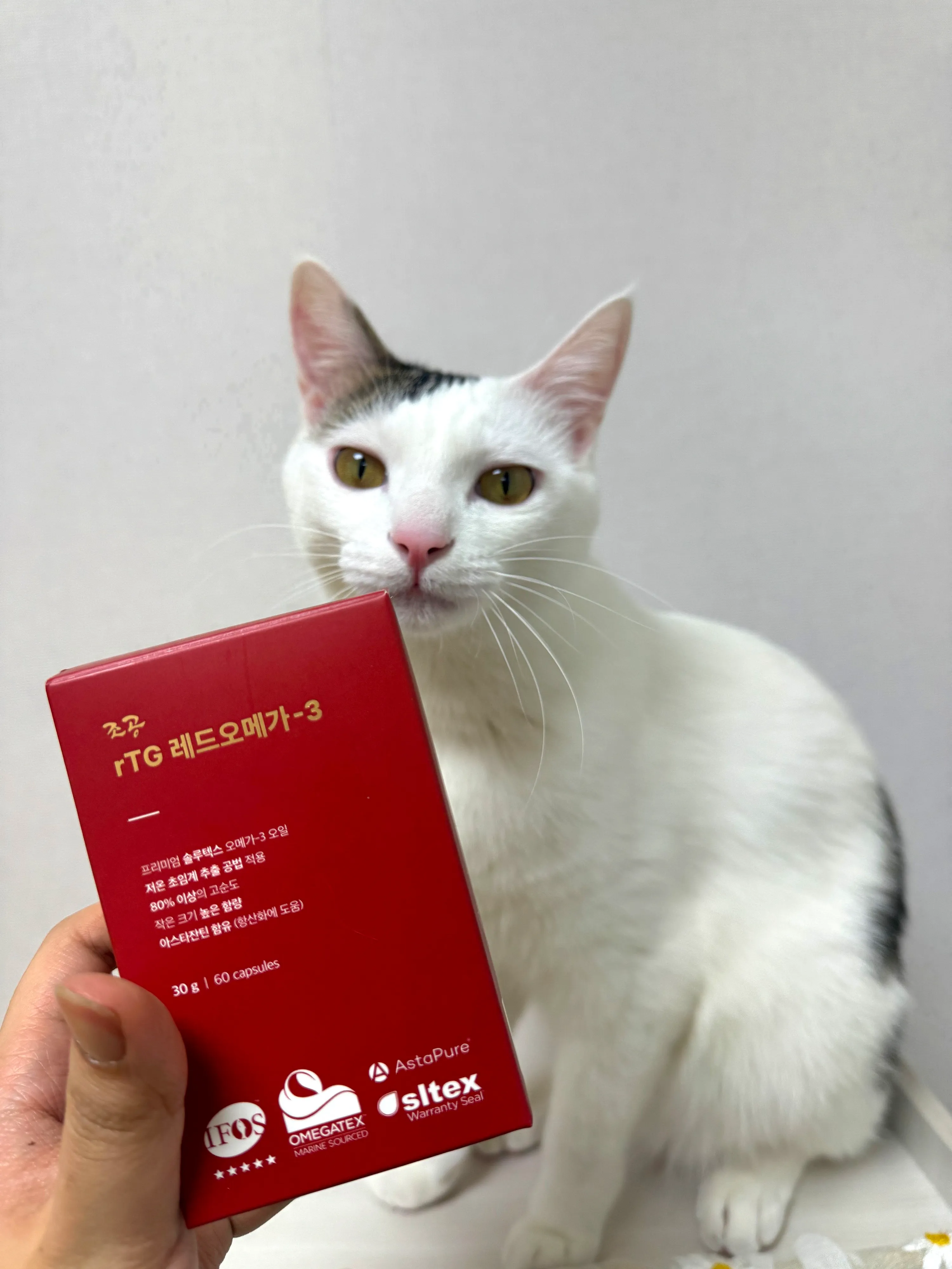 1번째 파일