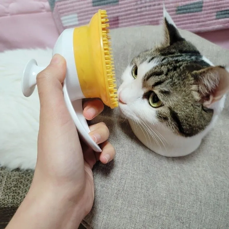 3번째 파일