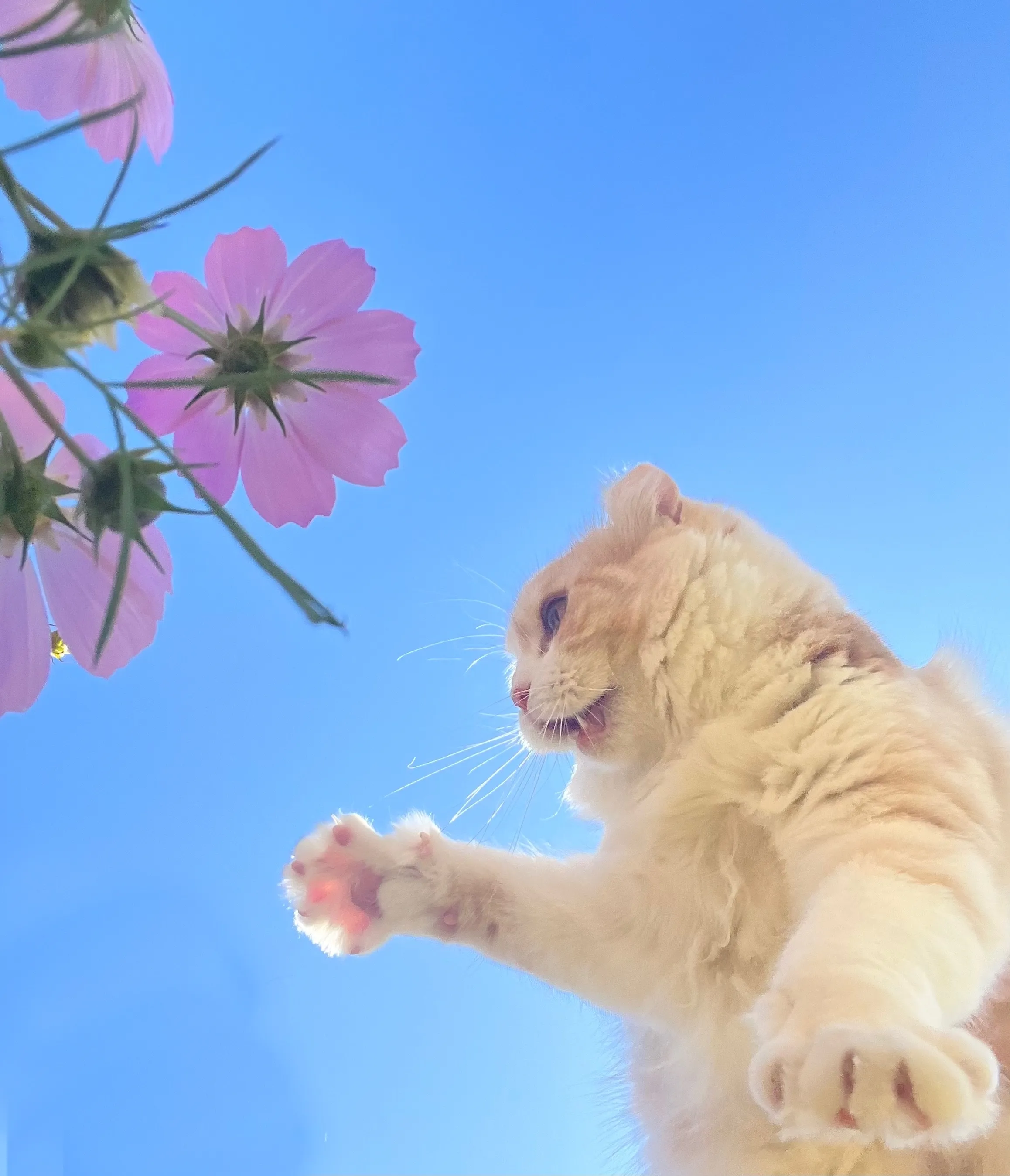 1번째 파일