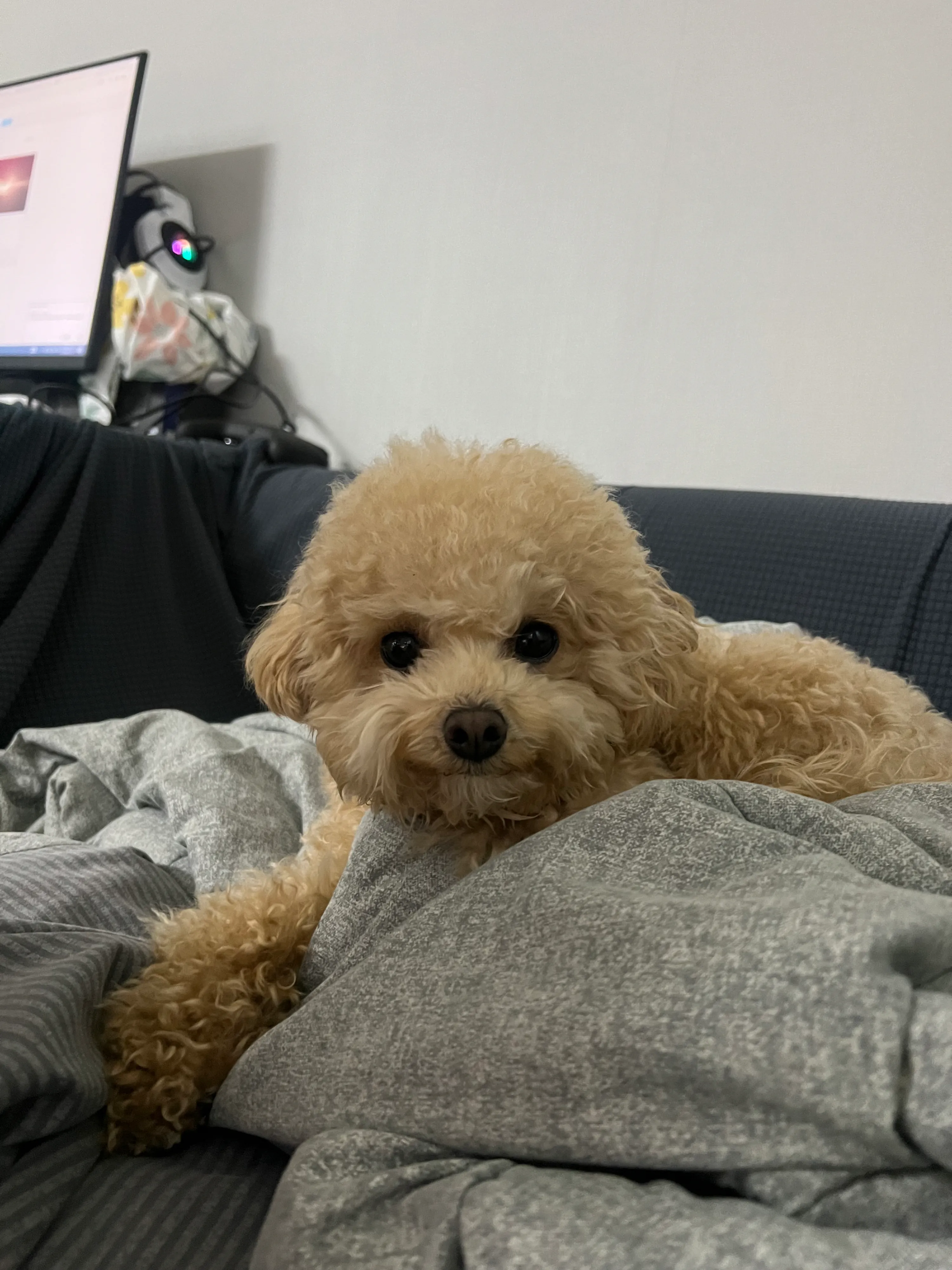 1번째 파일