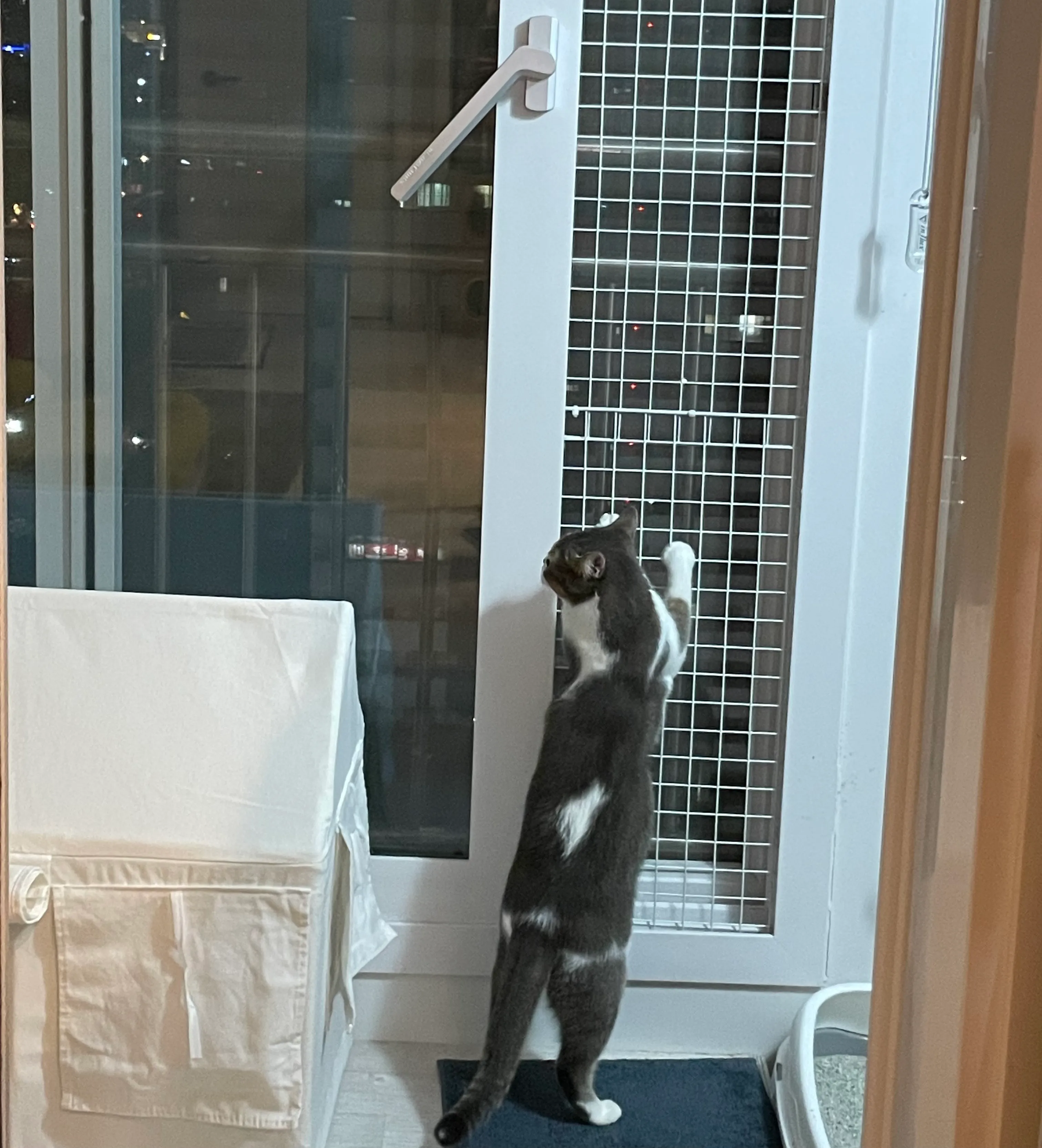 2번째 파일