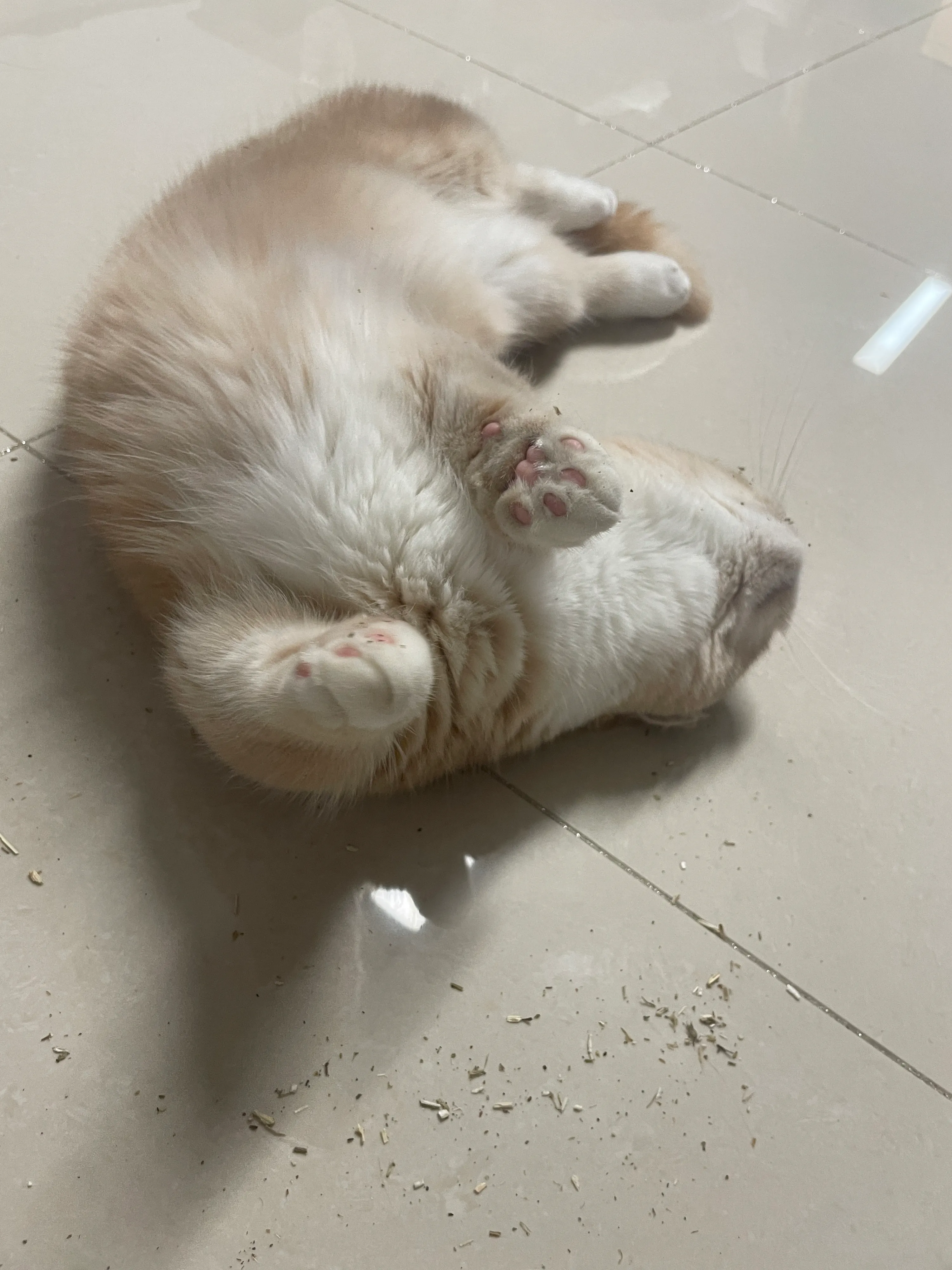 4번째 파일