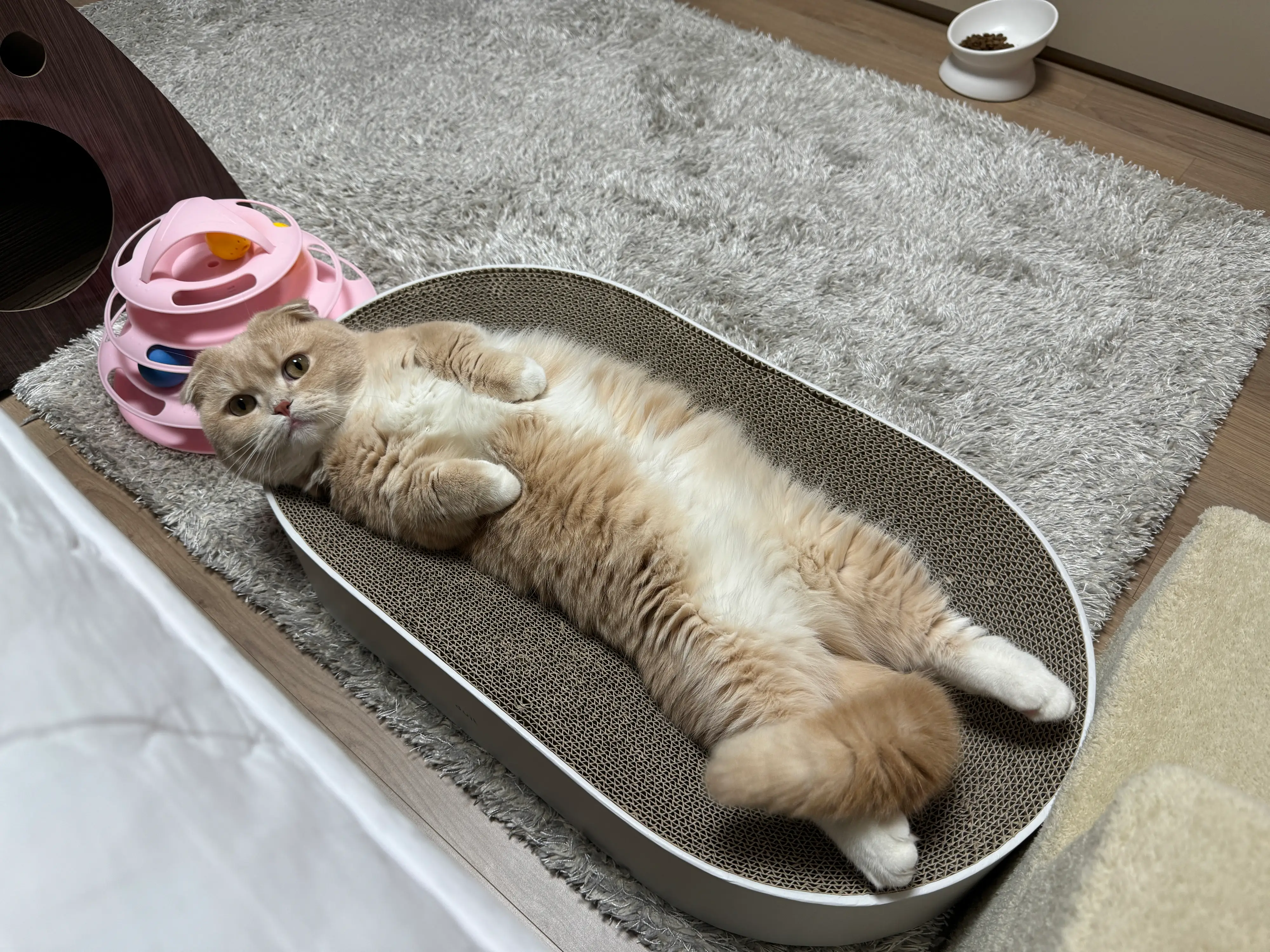 1번째 파일