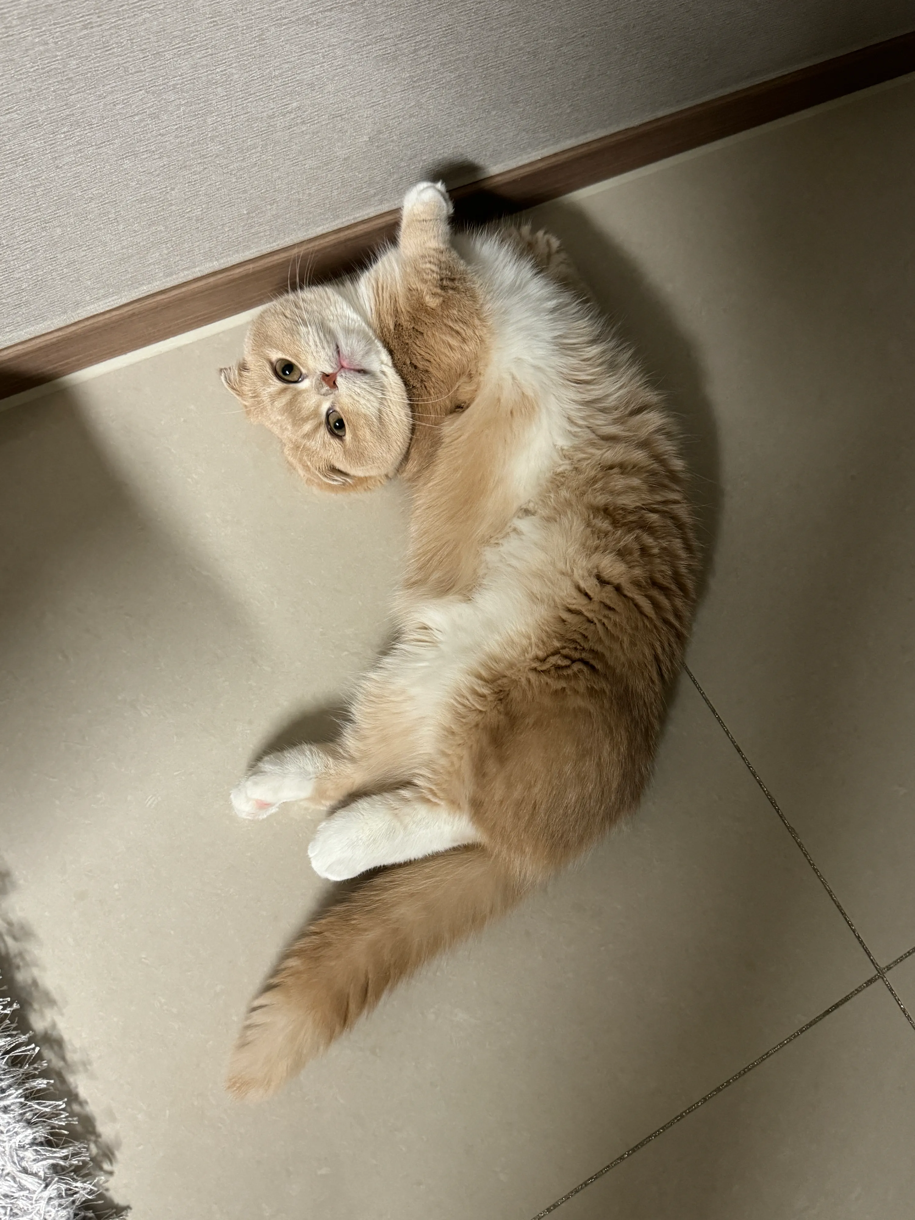 2번째 파일