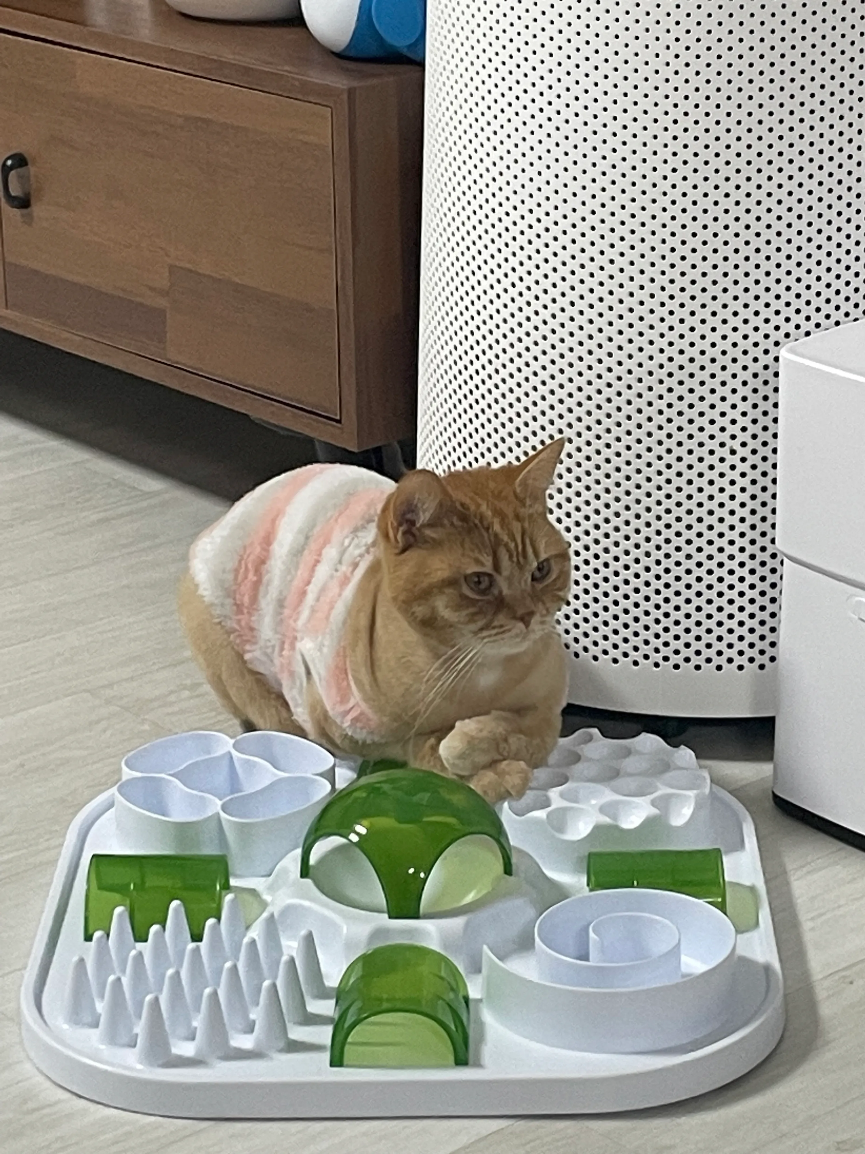 1번째 파일