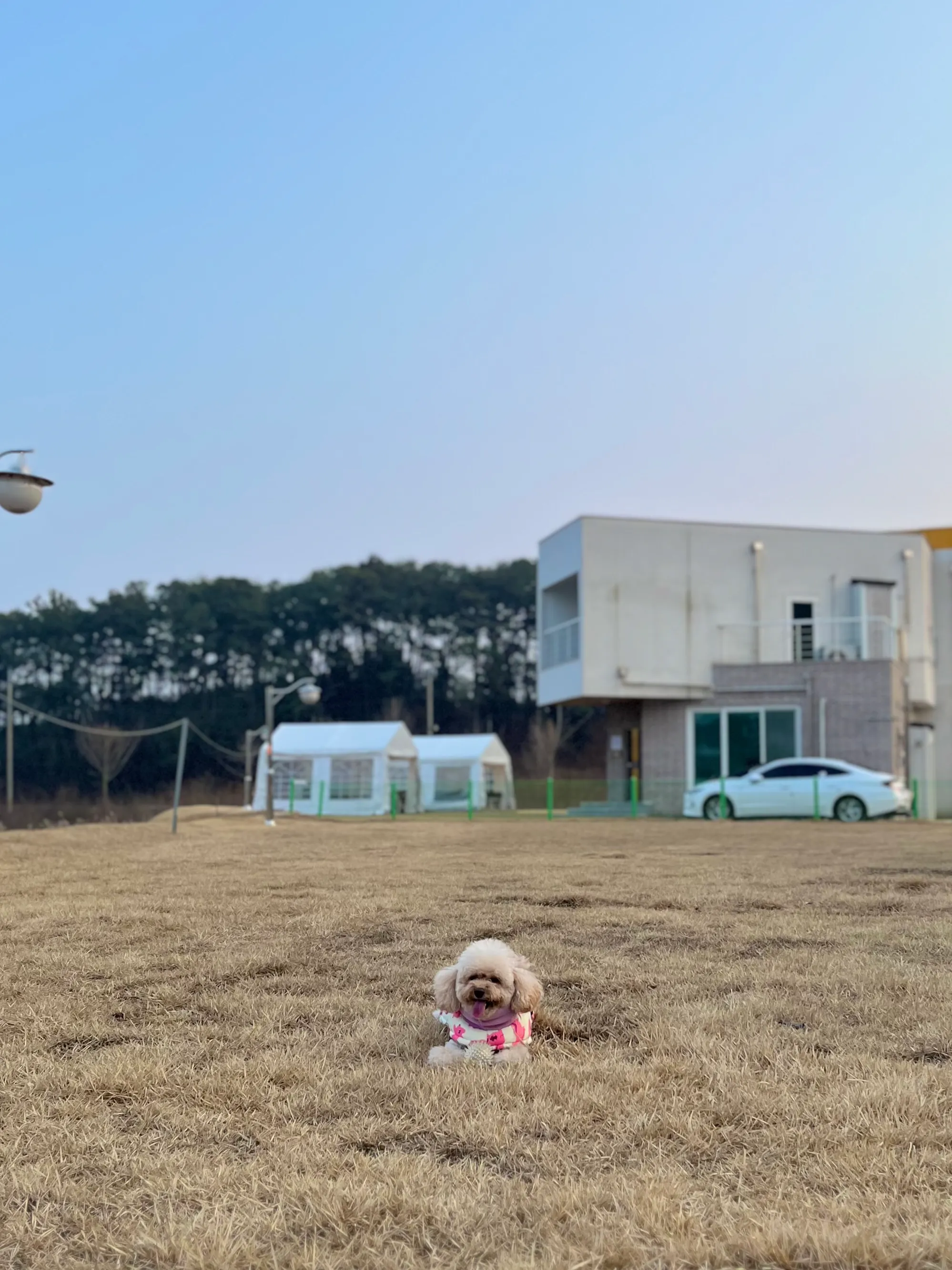 4번째 파일