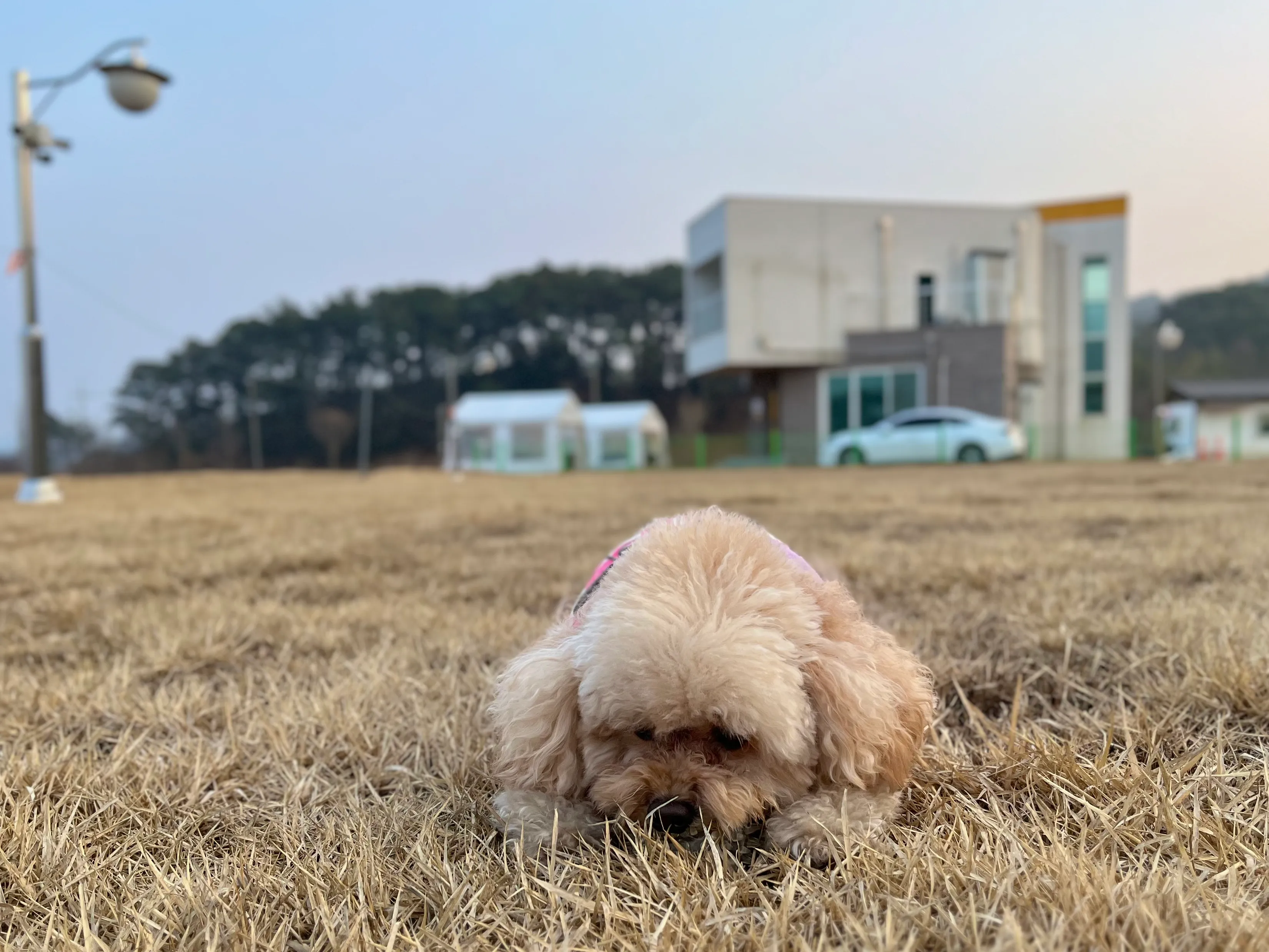 5번째 파일