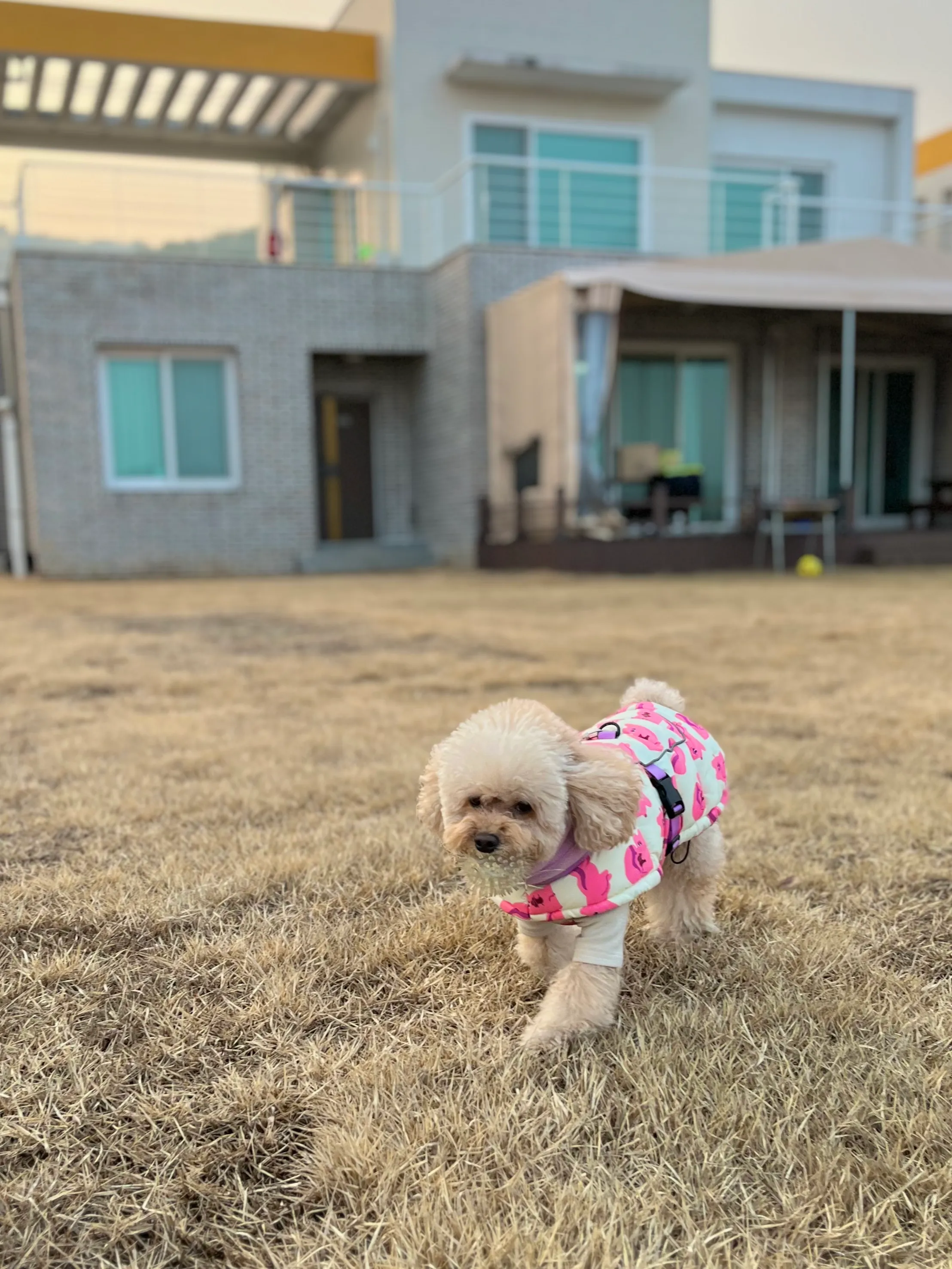 2번째 파일
