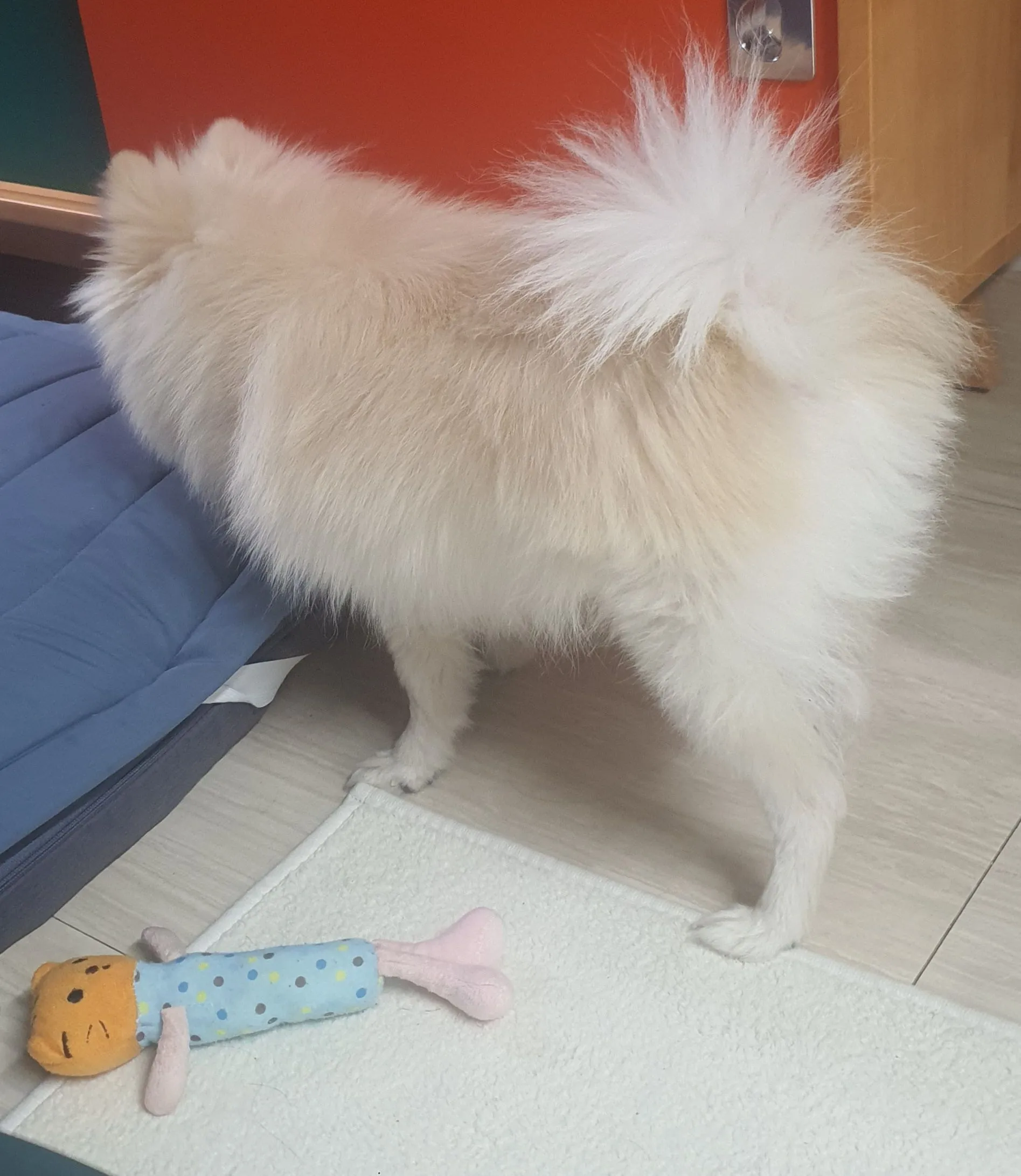 5번째 파일