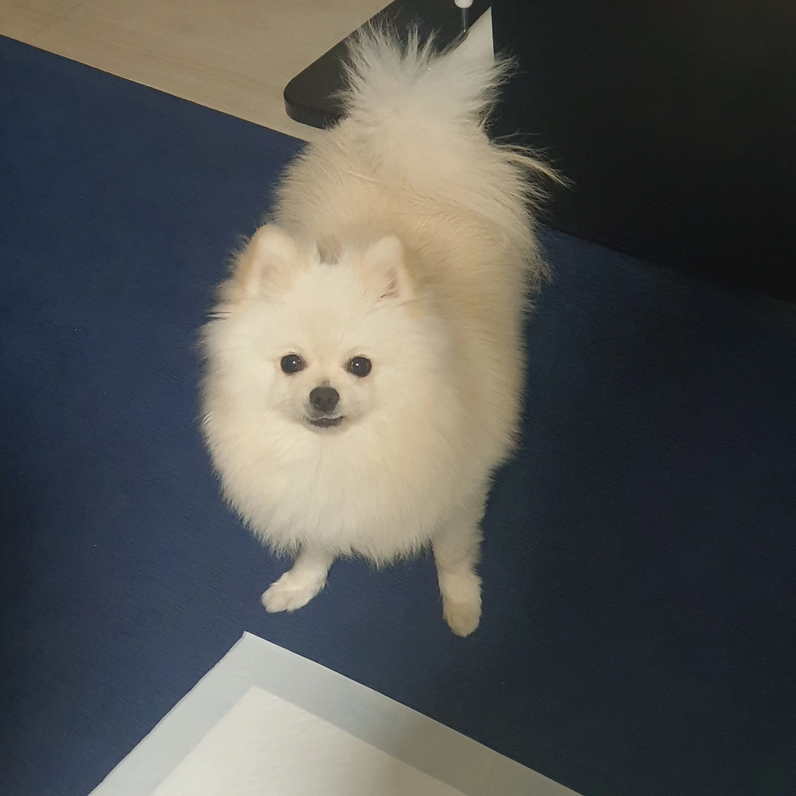 4번째 파일
