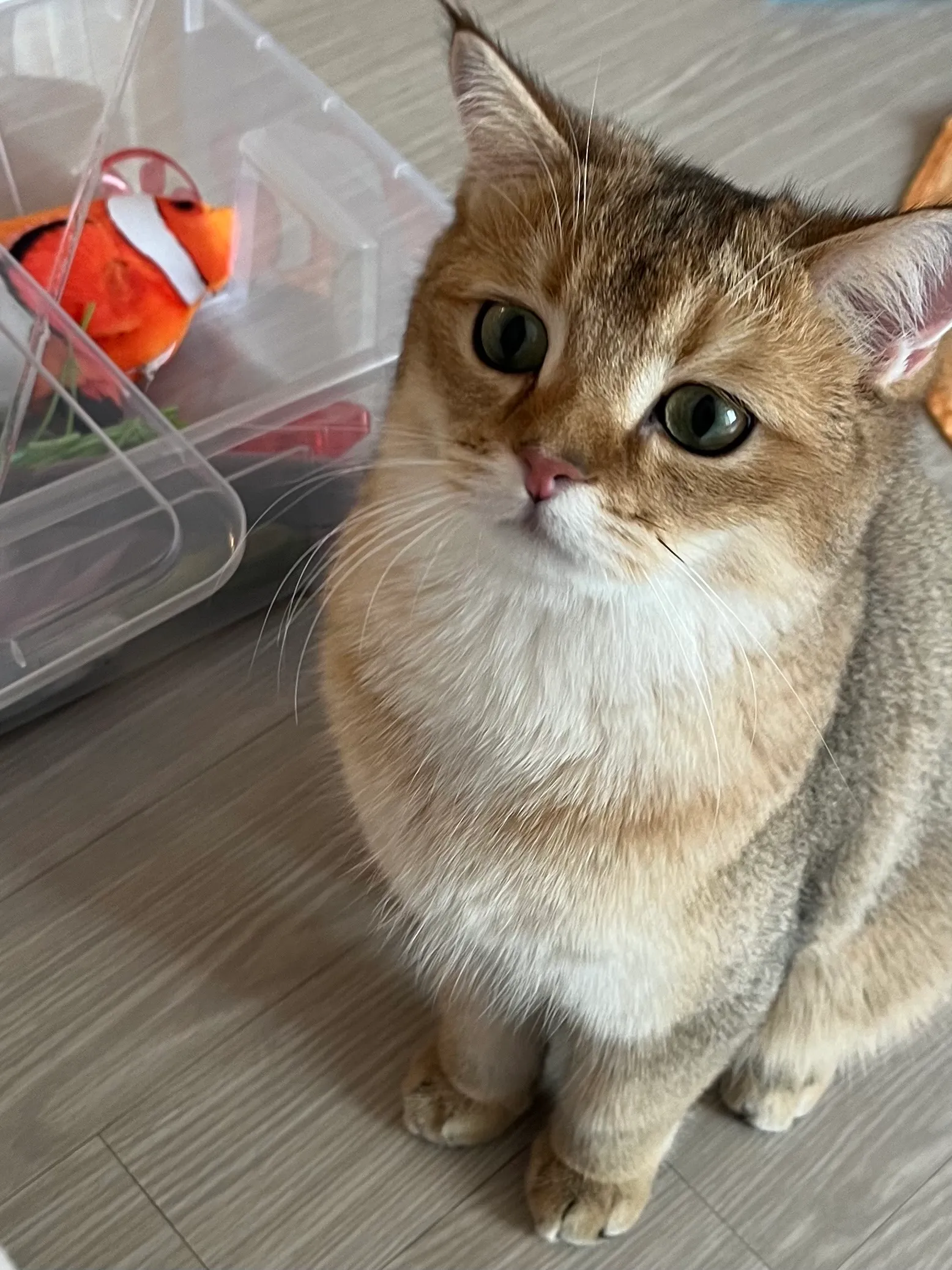 2번째 파일
