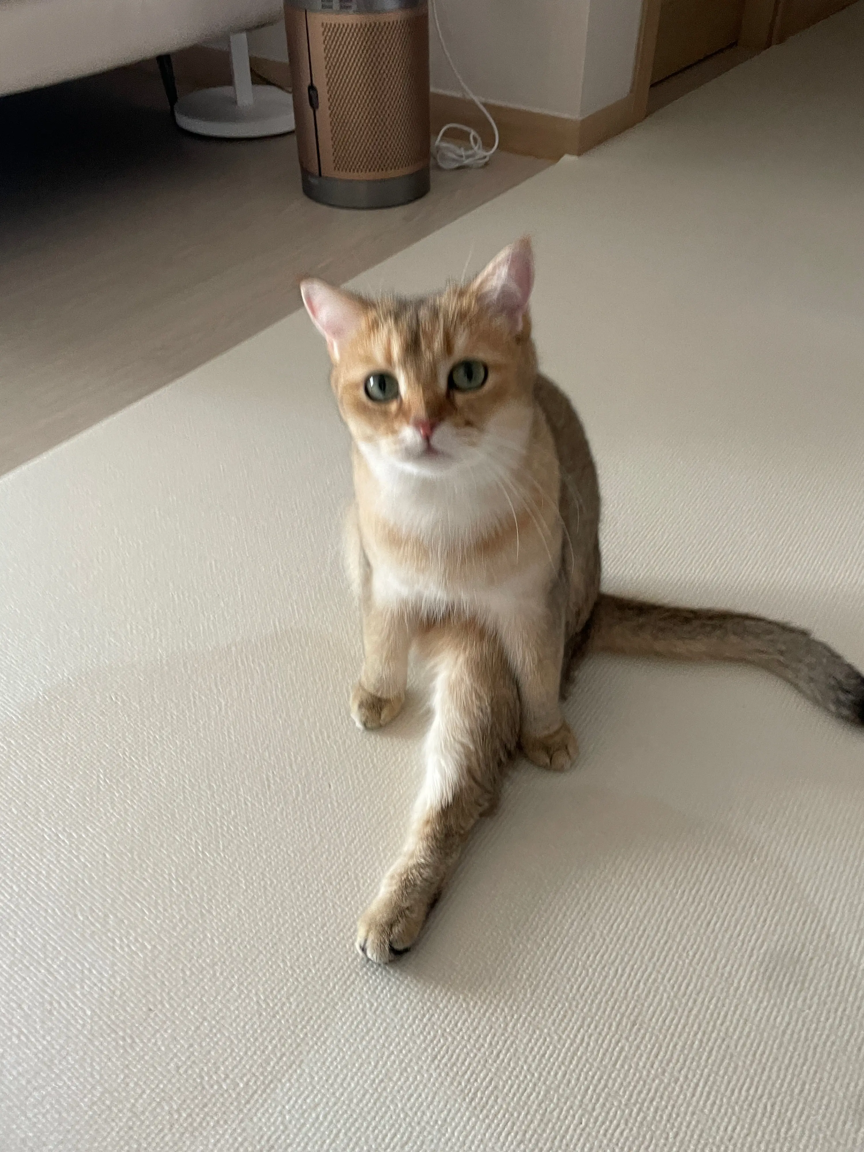 4번째 파일