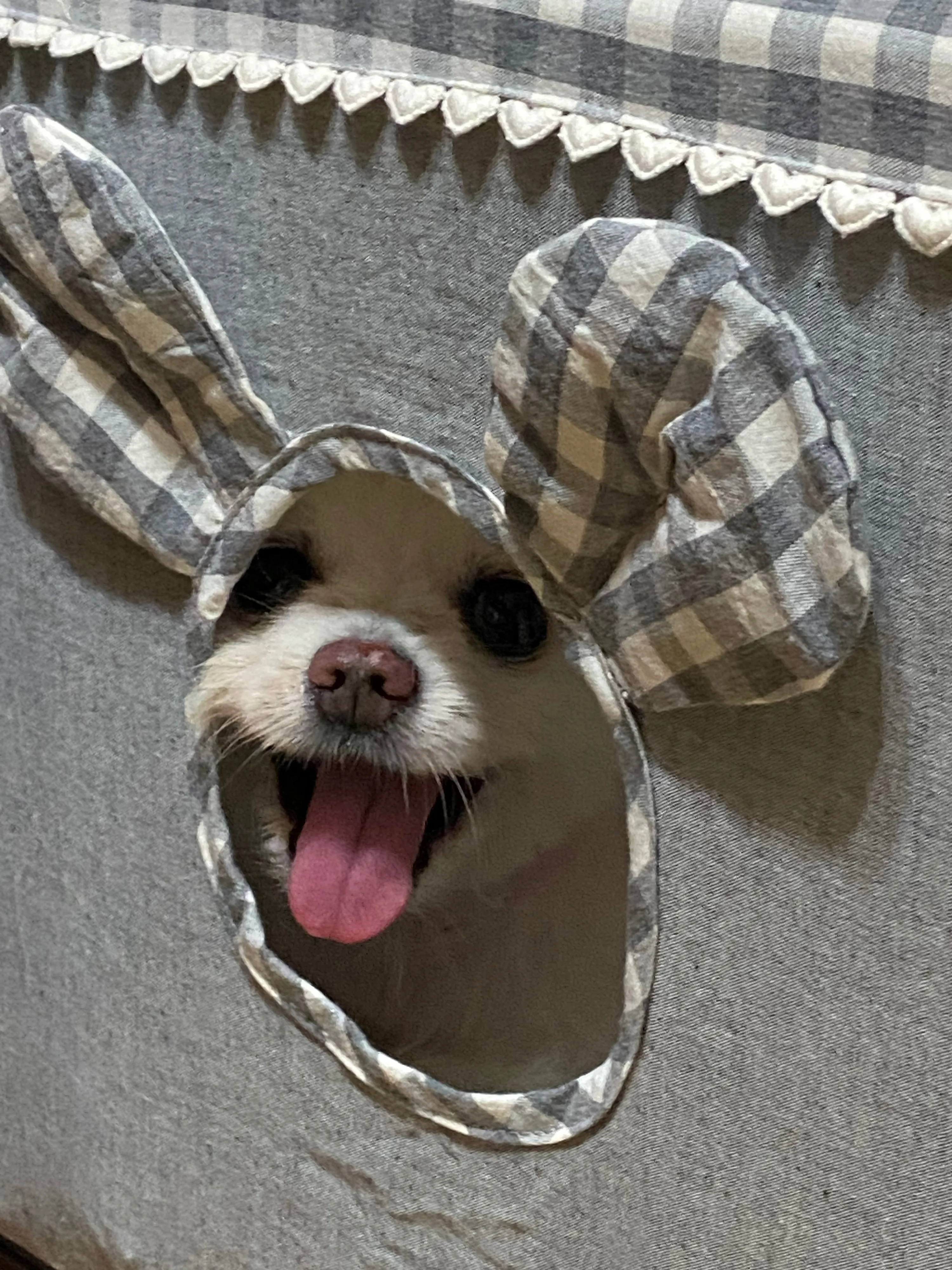 5번째 파일