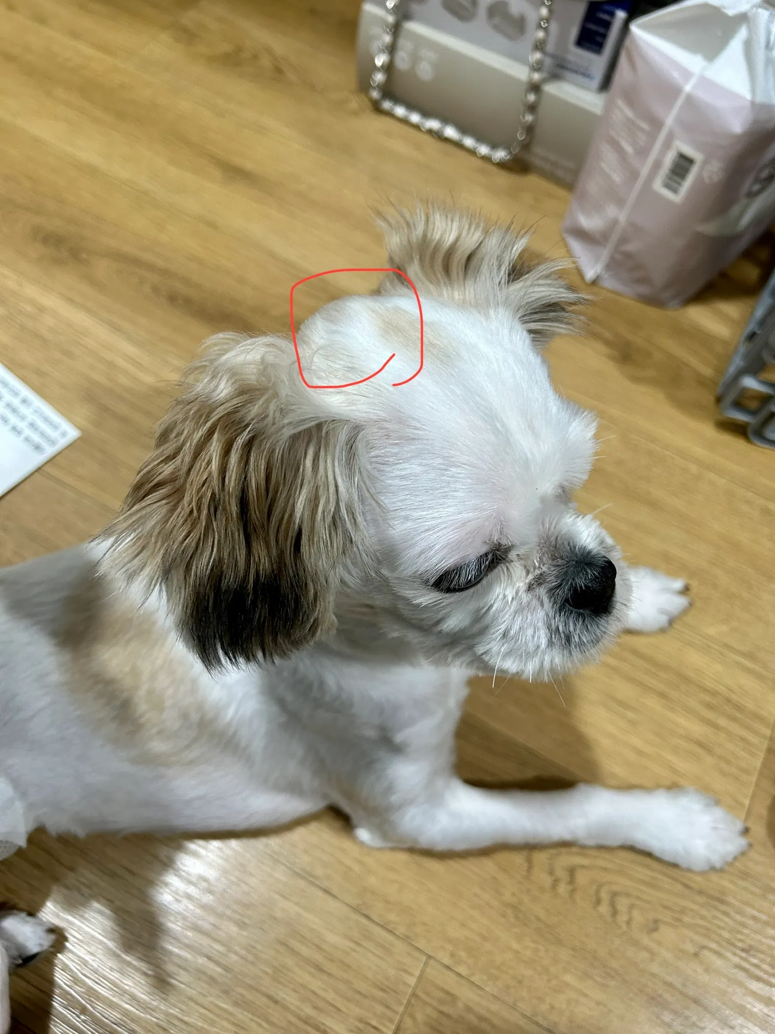 3번째 파일