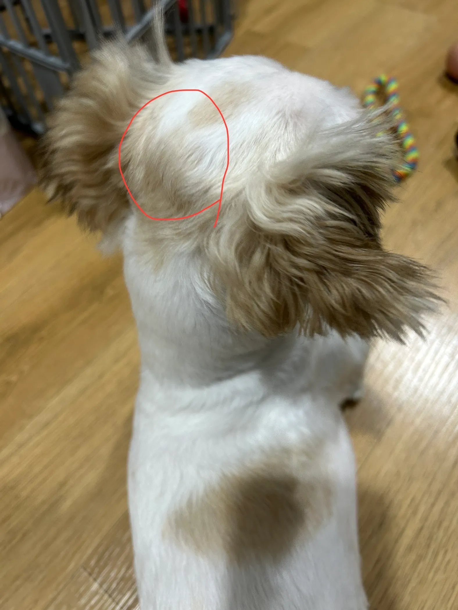 2번째 파일