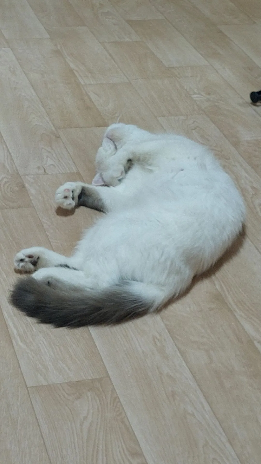 1번째 파일