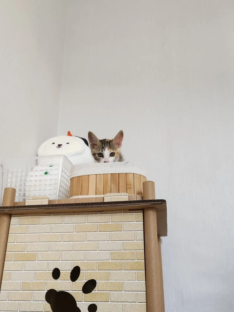 1번째 파일