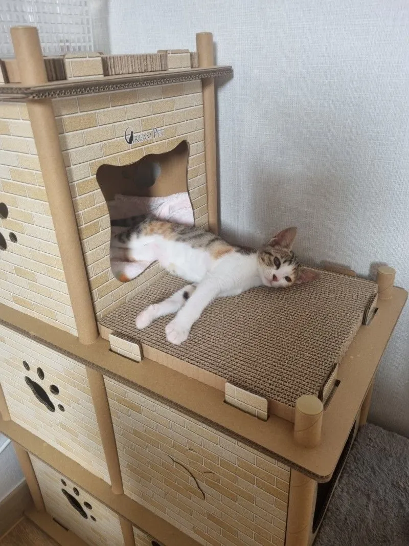 4번째 파일