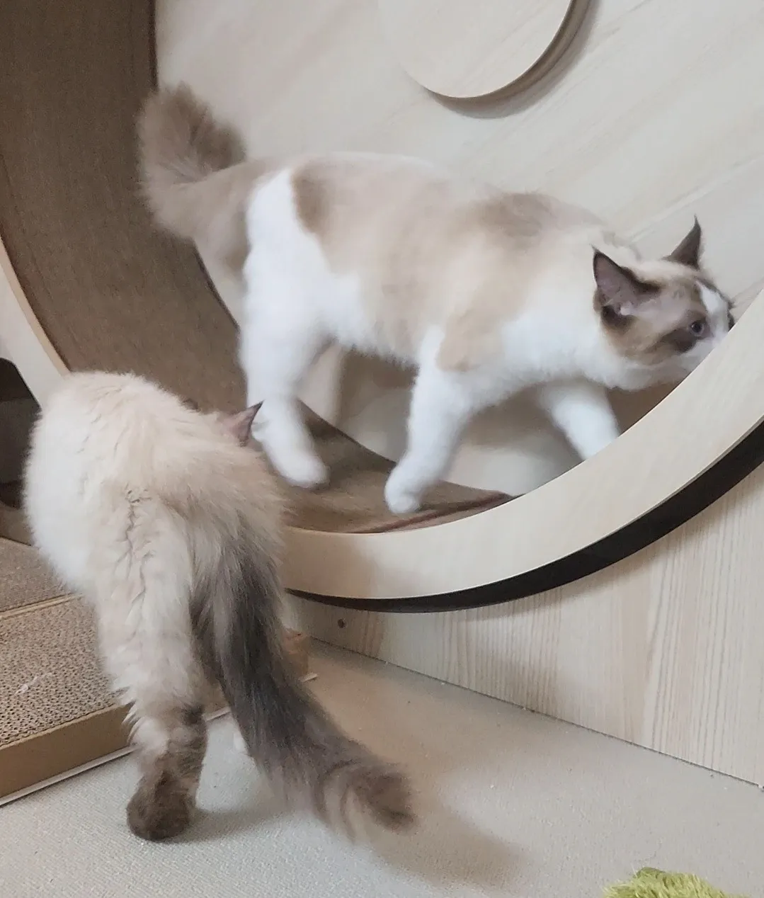 5번째 파일