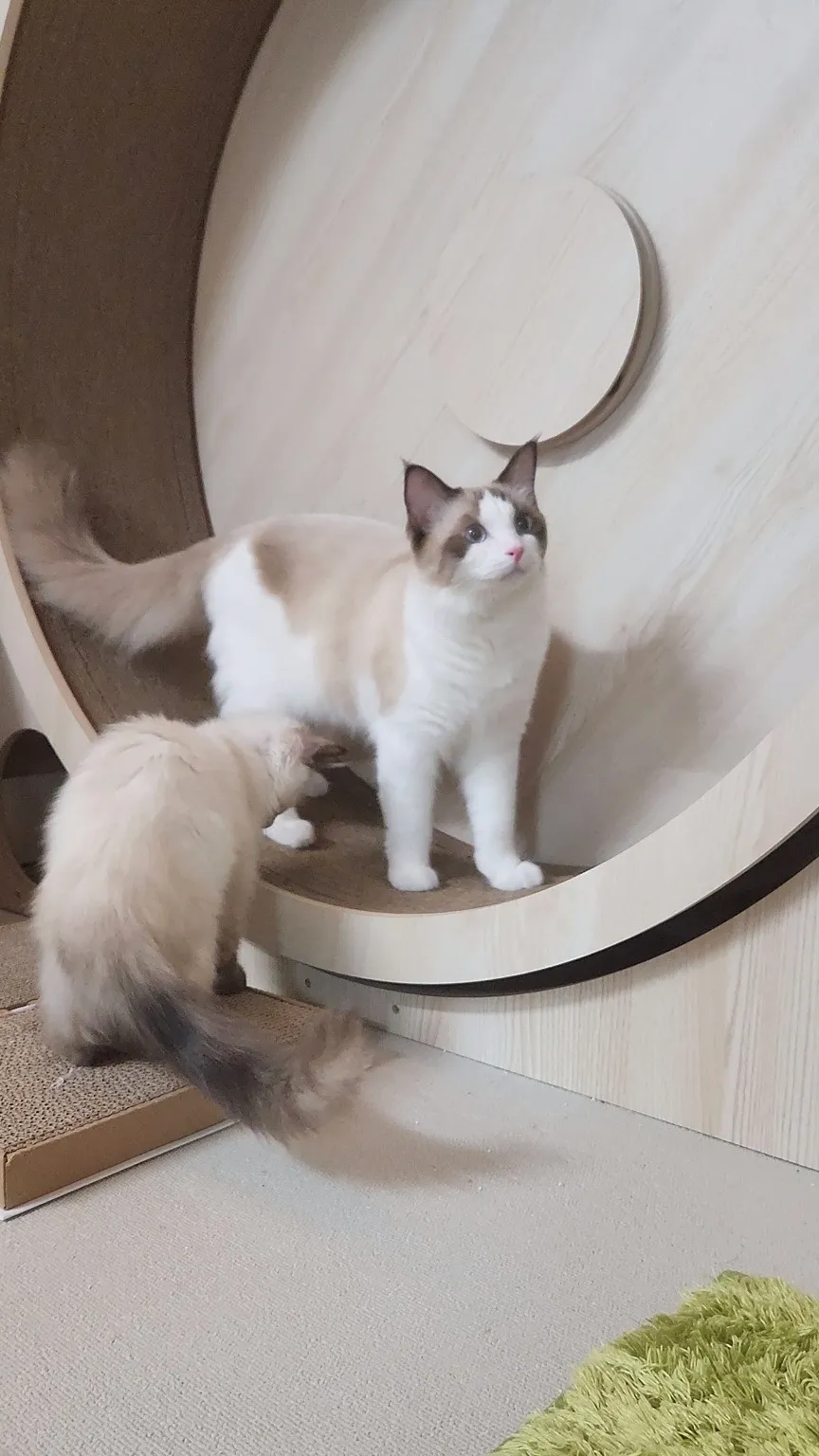 4번째 파일