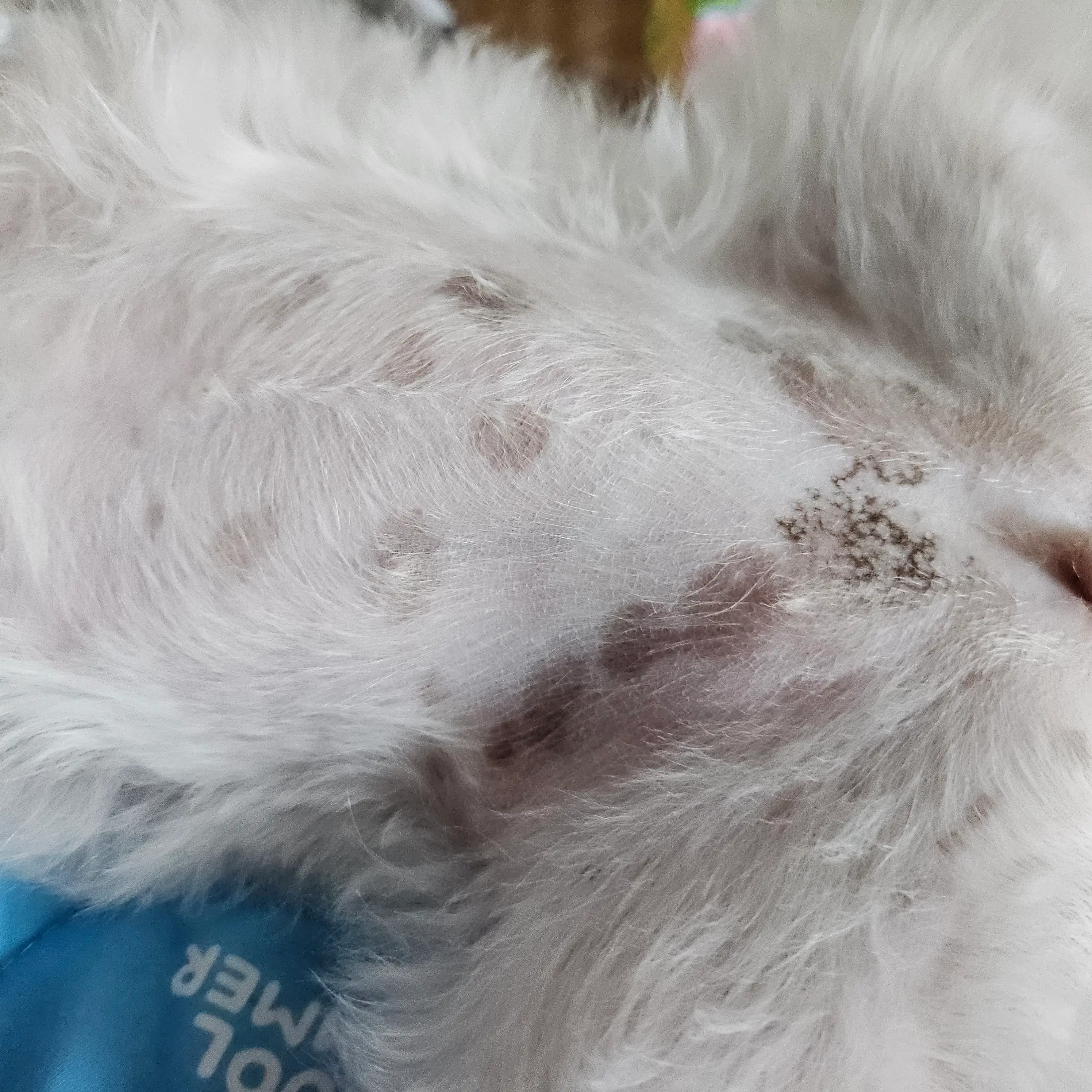 1번째 파일