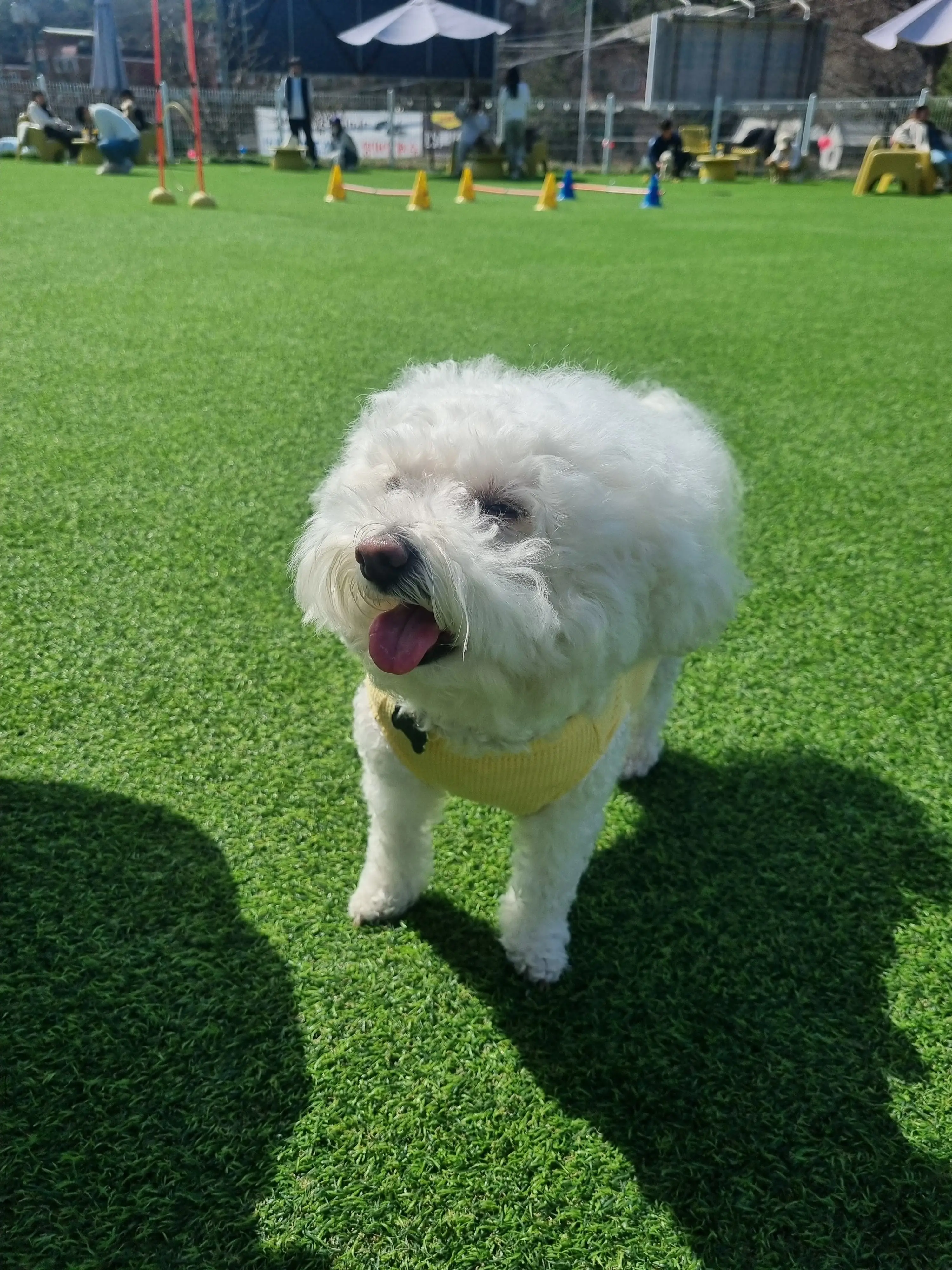2번째 파일