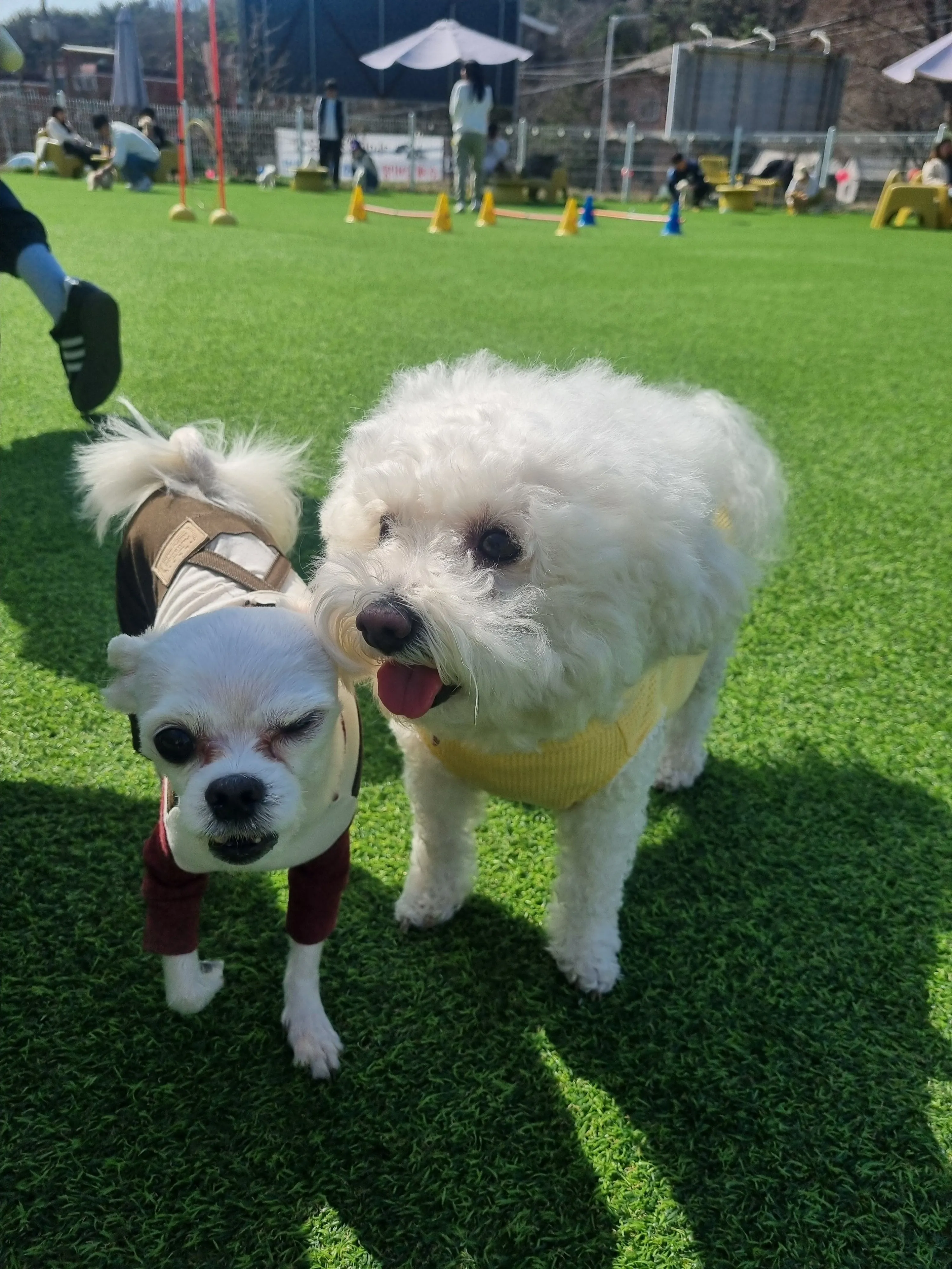 1번째 파일