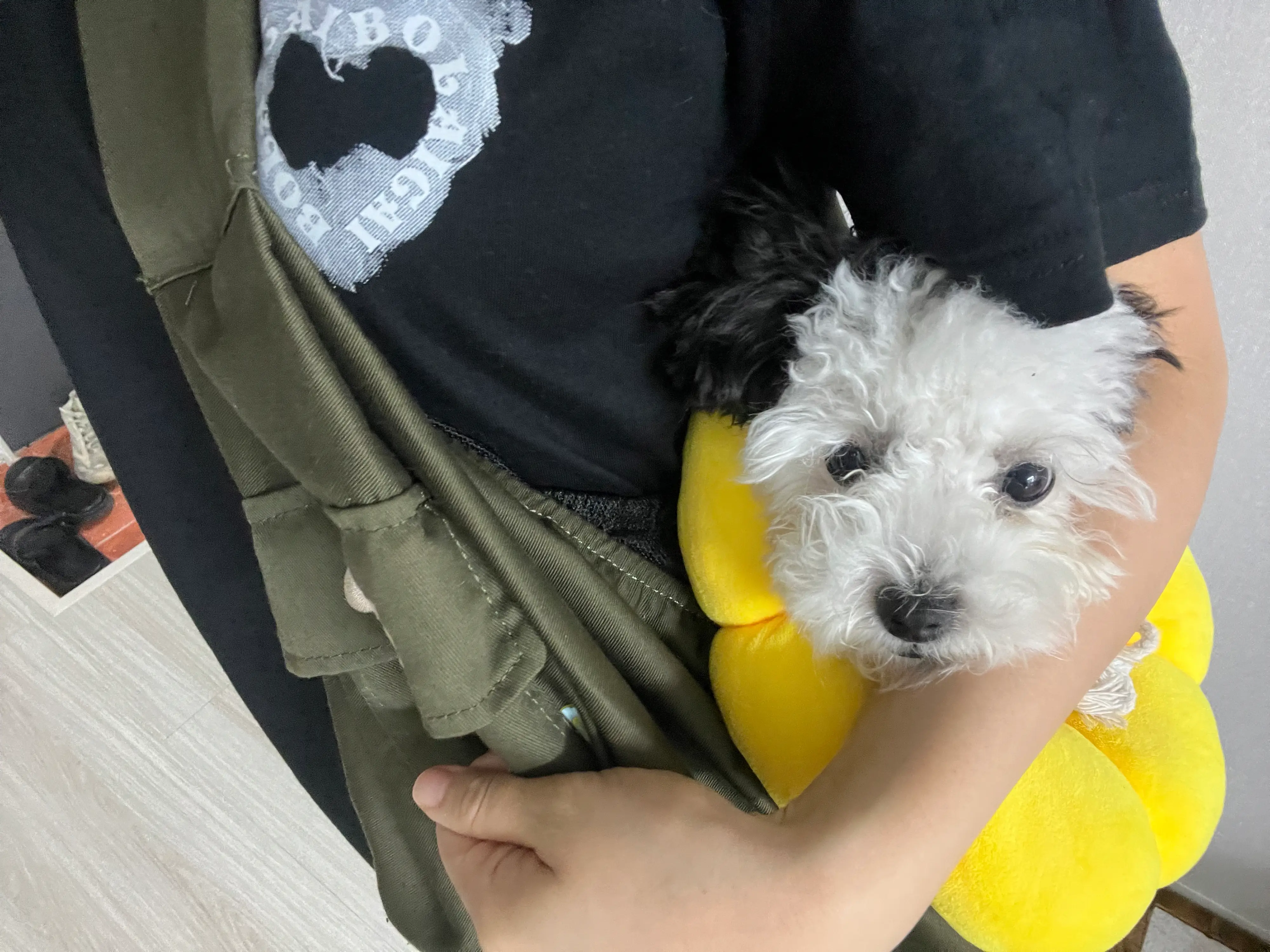 2번째 파일