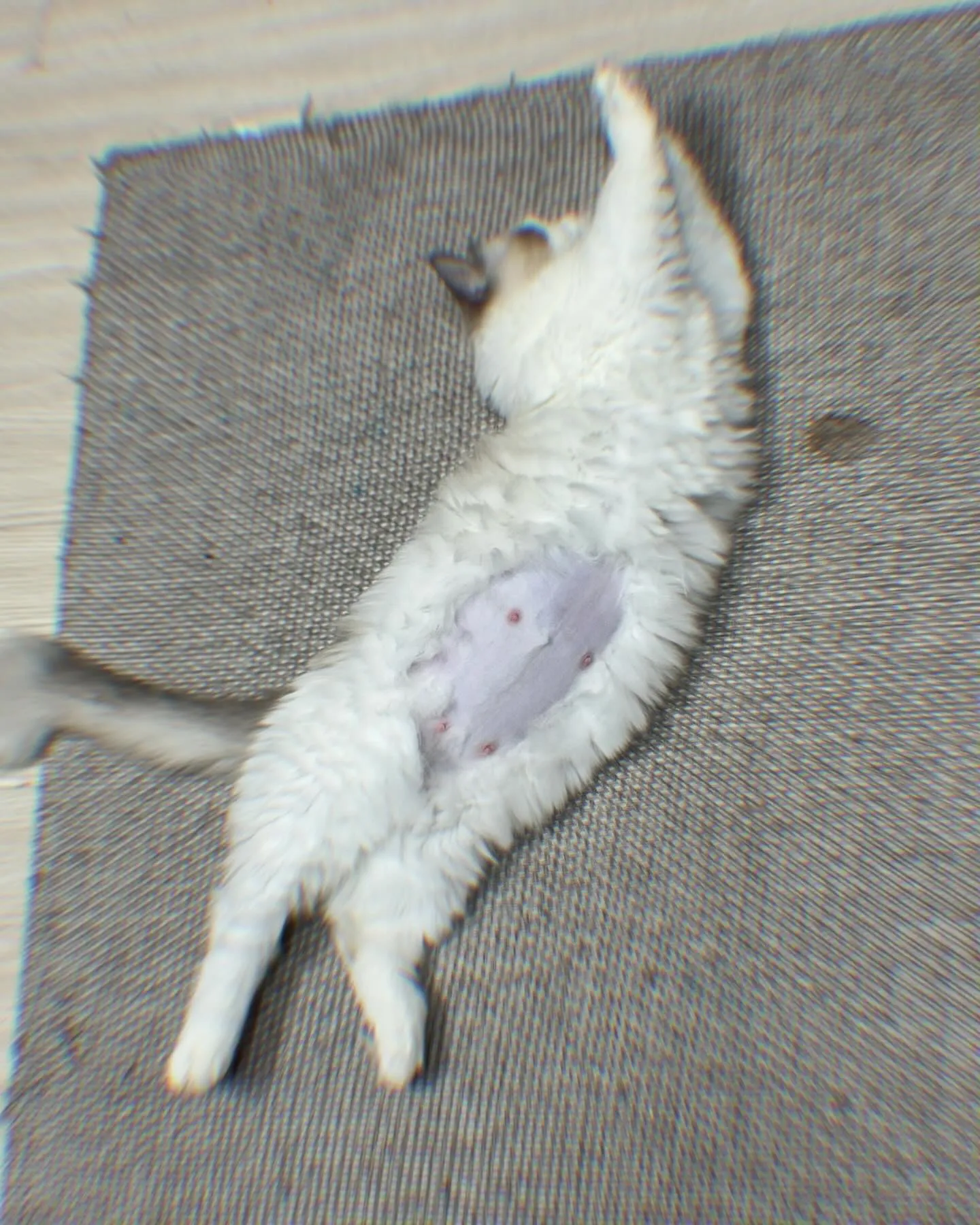 1번째 파일