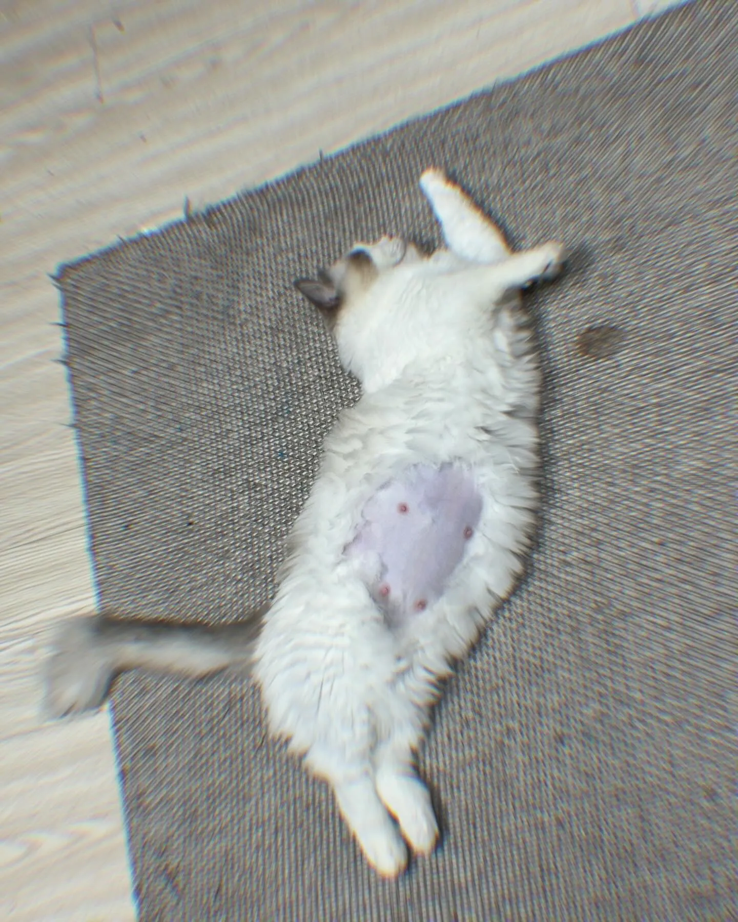 2번째 파일