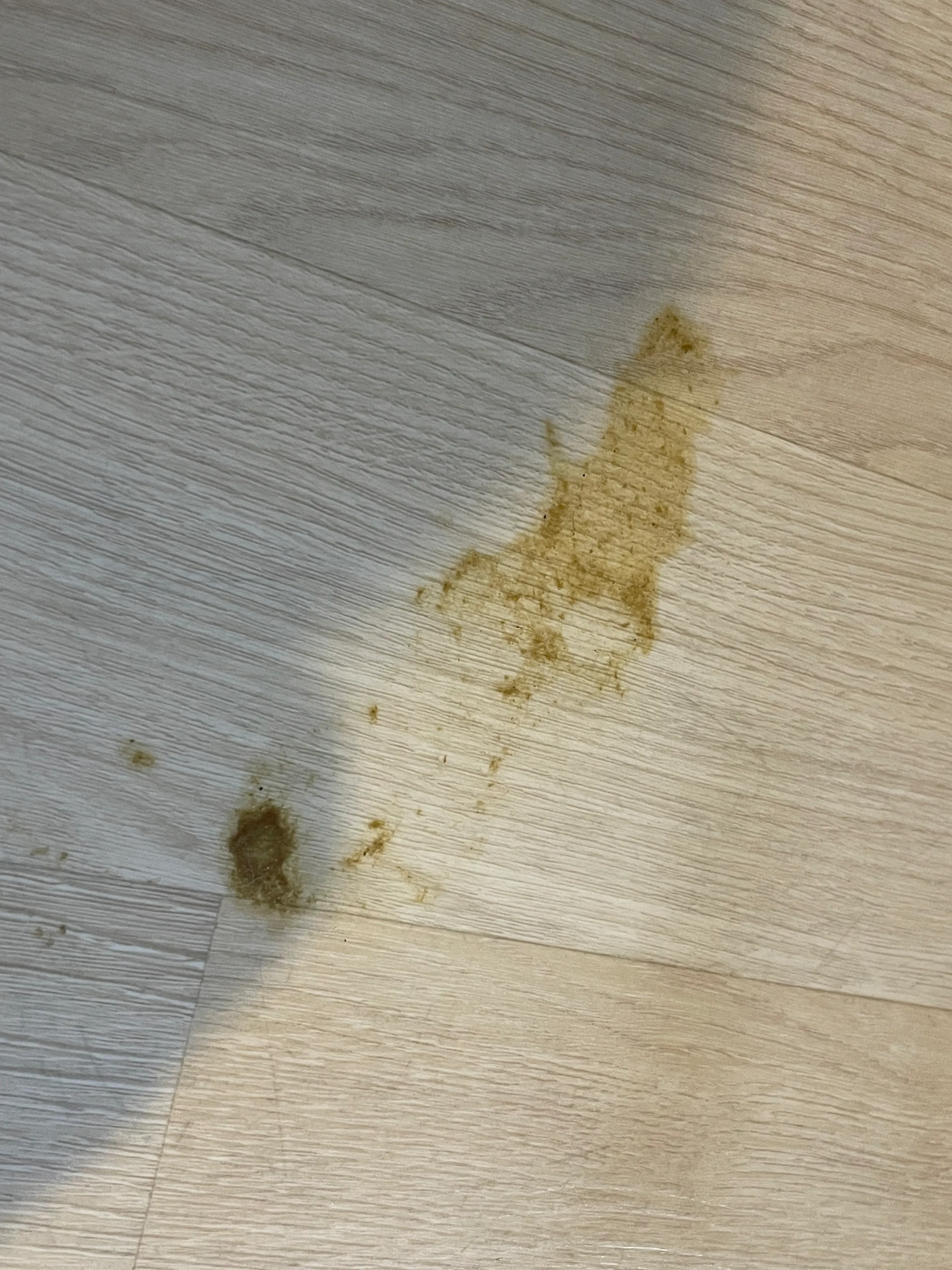 4번째 파일