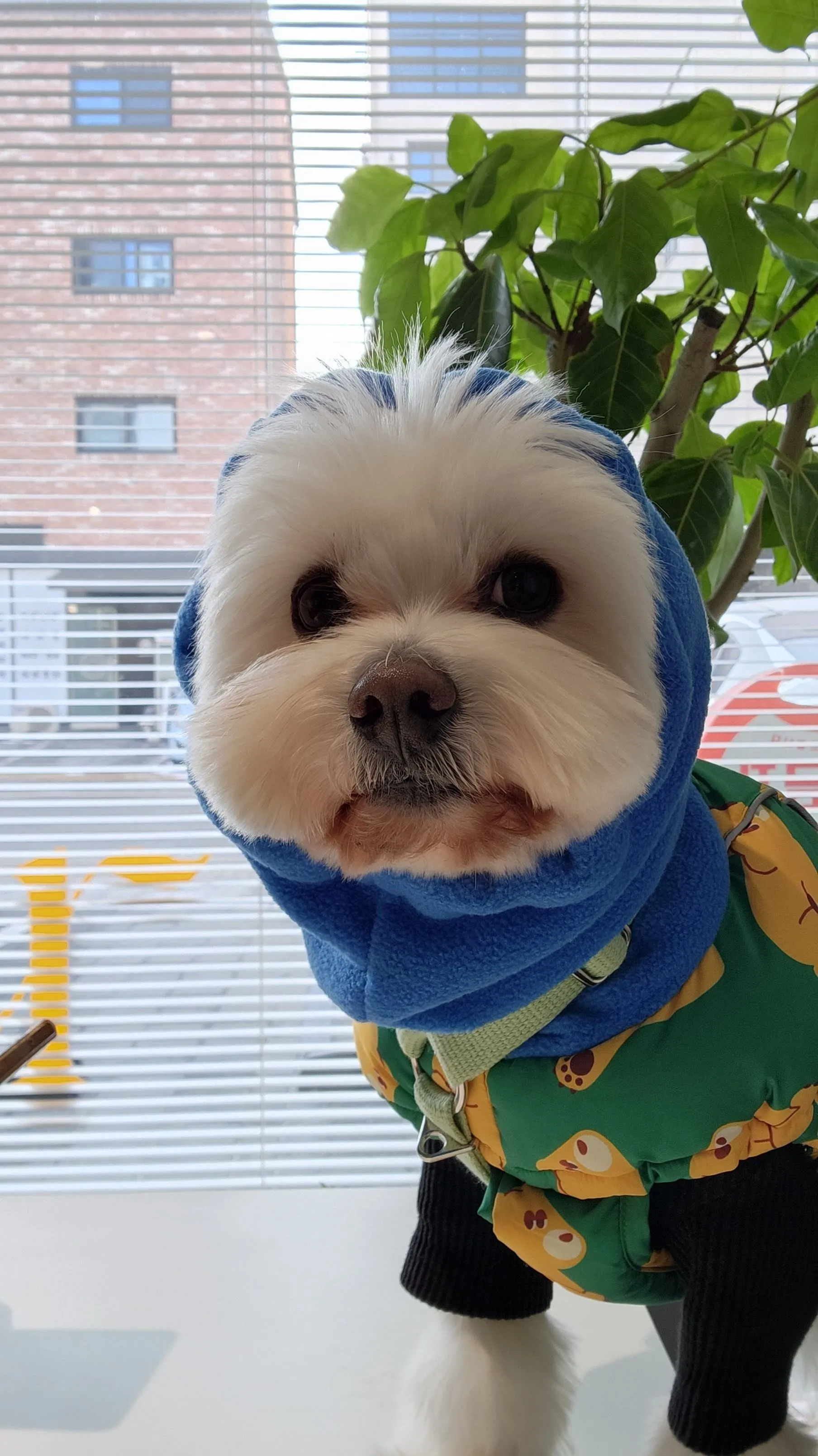 3번째 파일