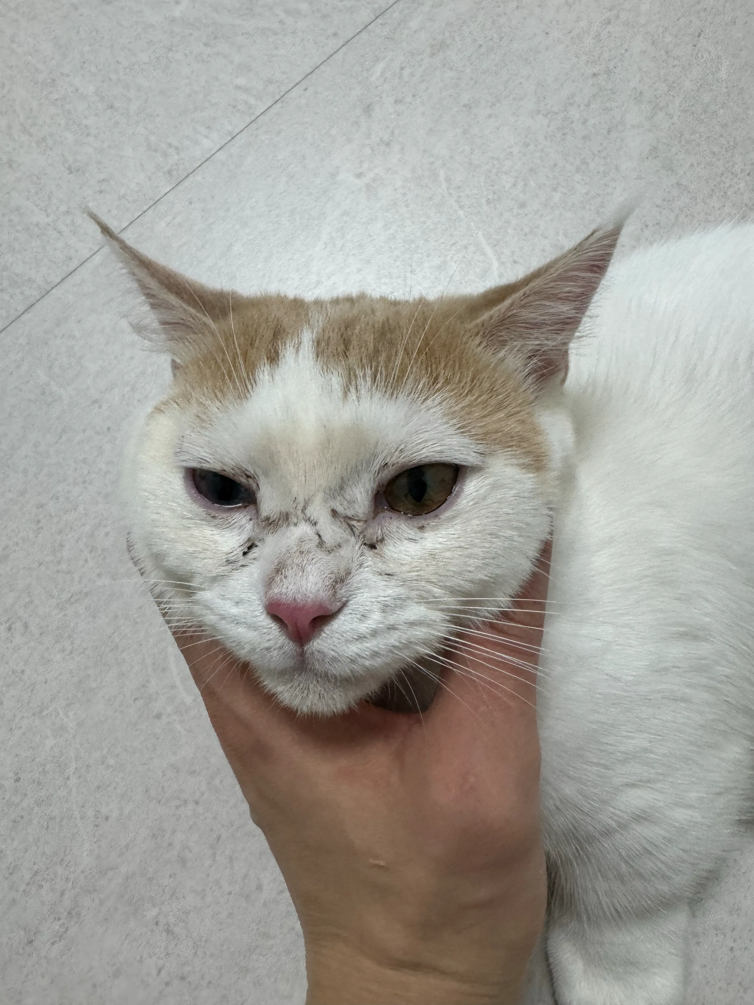 1번째 파일