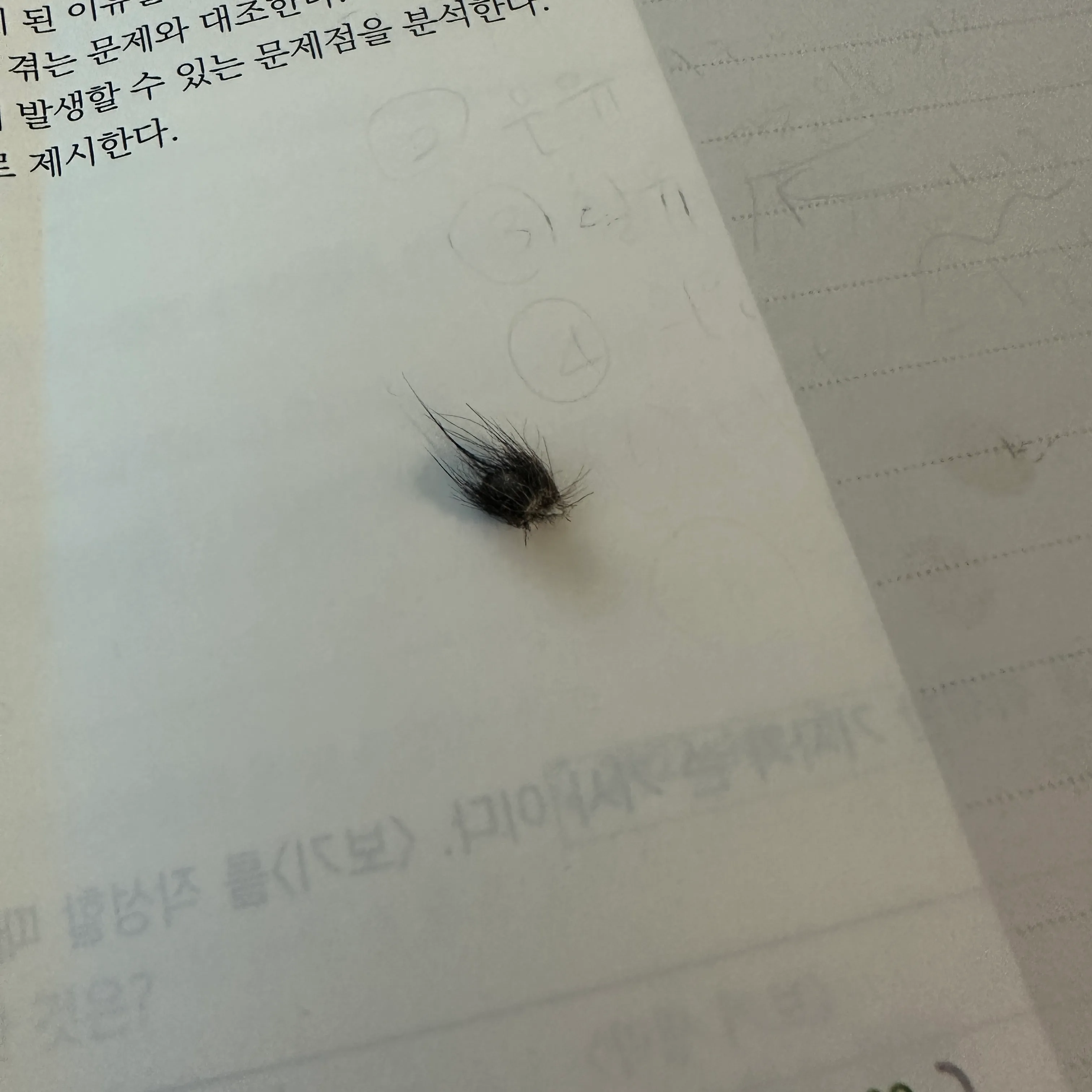 3번째 파일