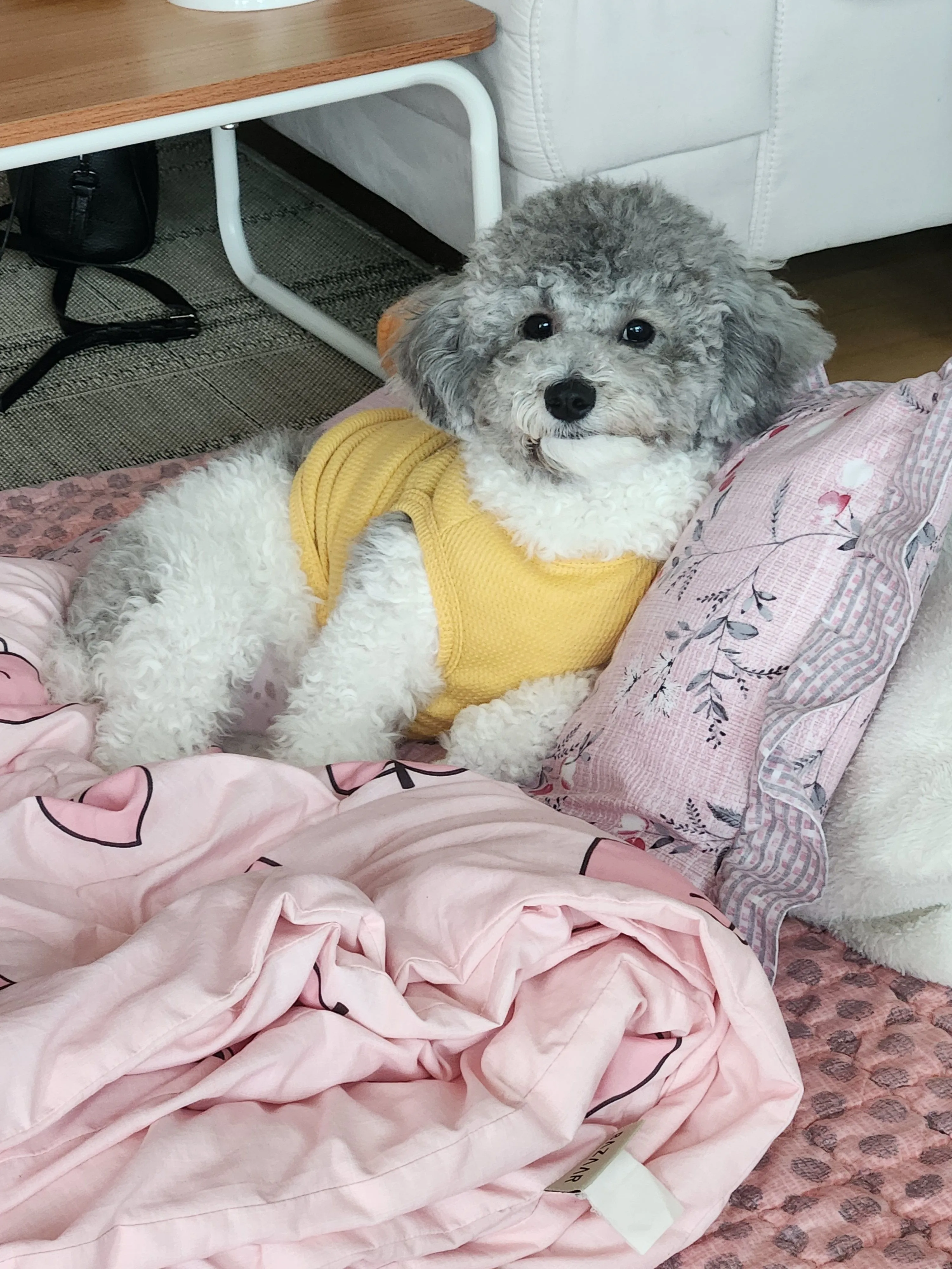 4번째 파일