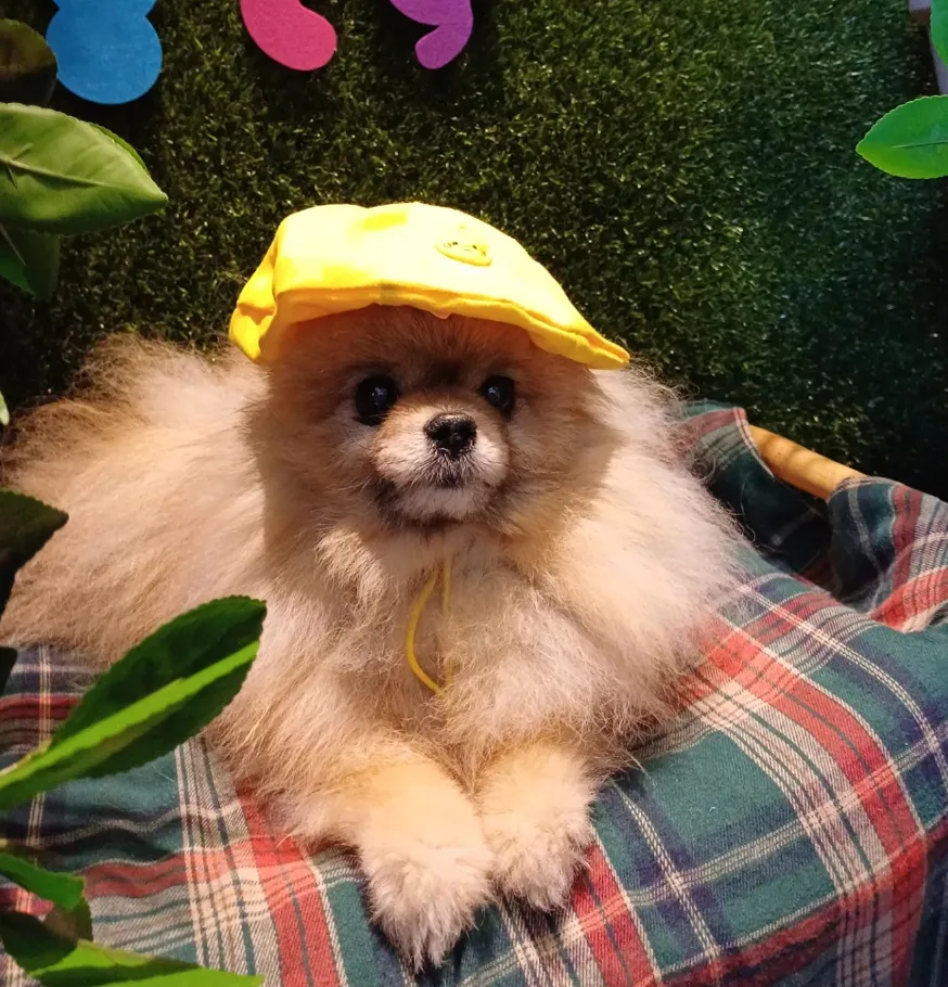 1번째 파일