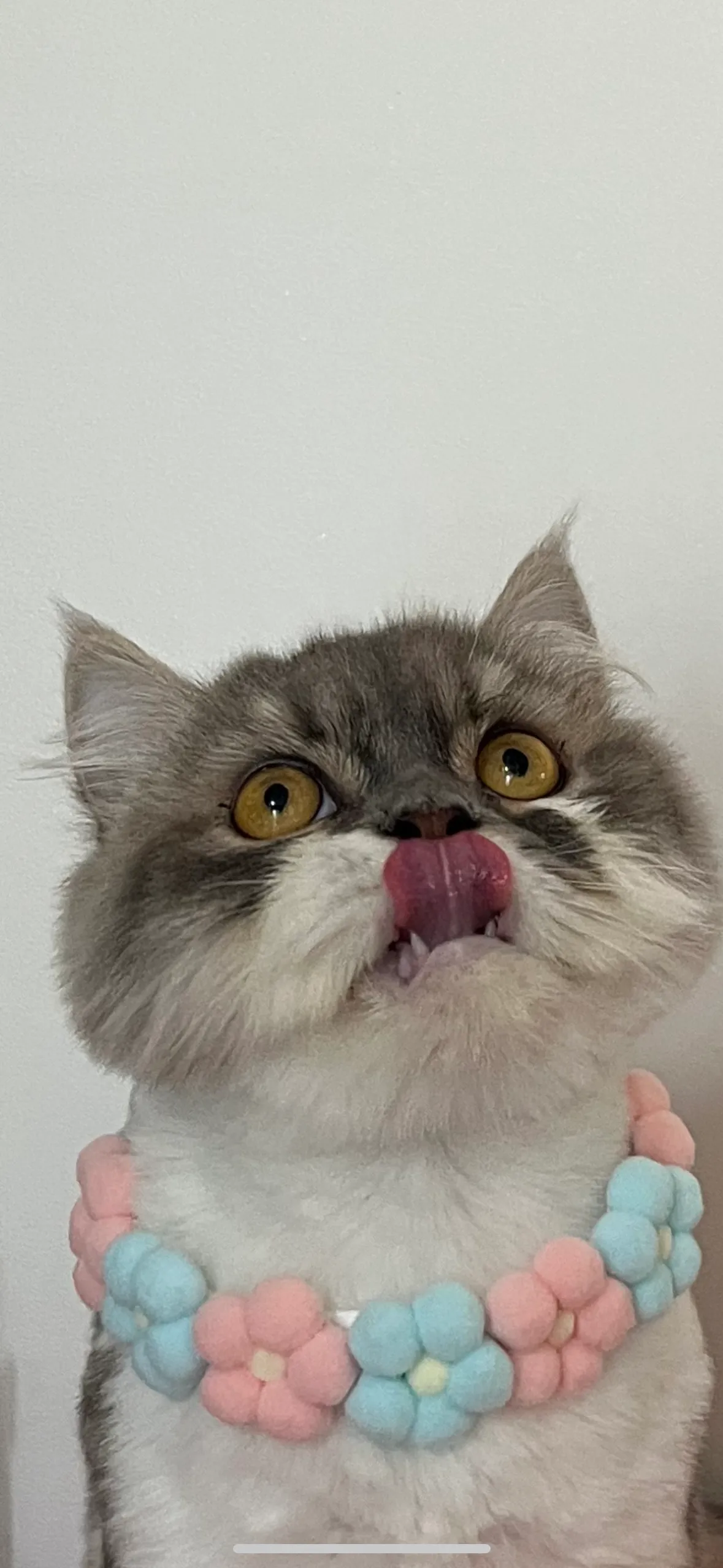1번째 파일
