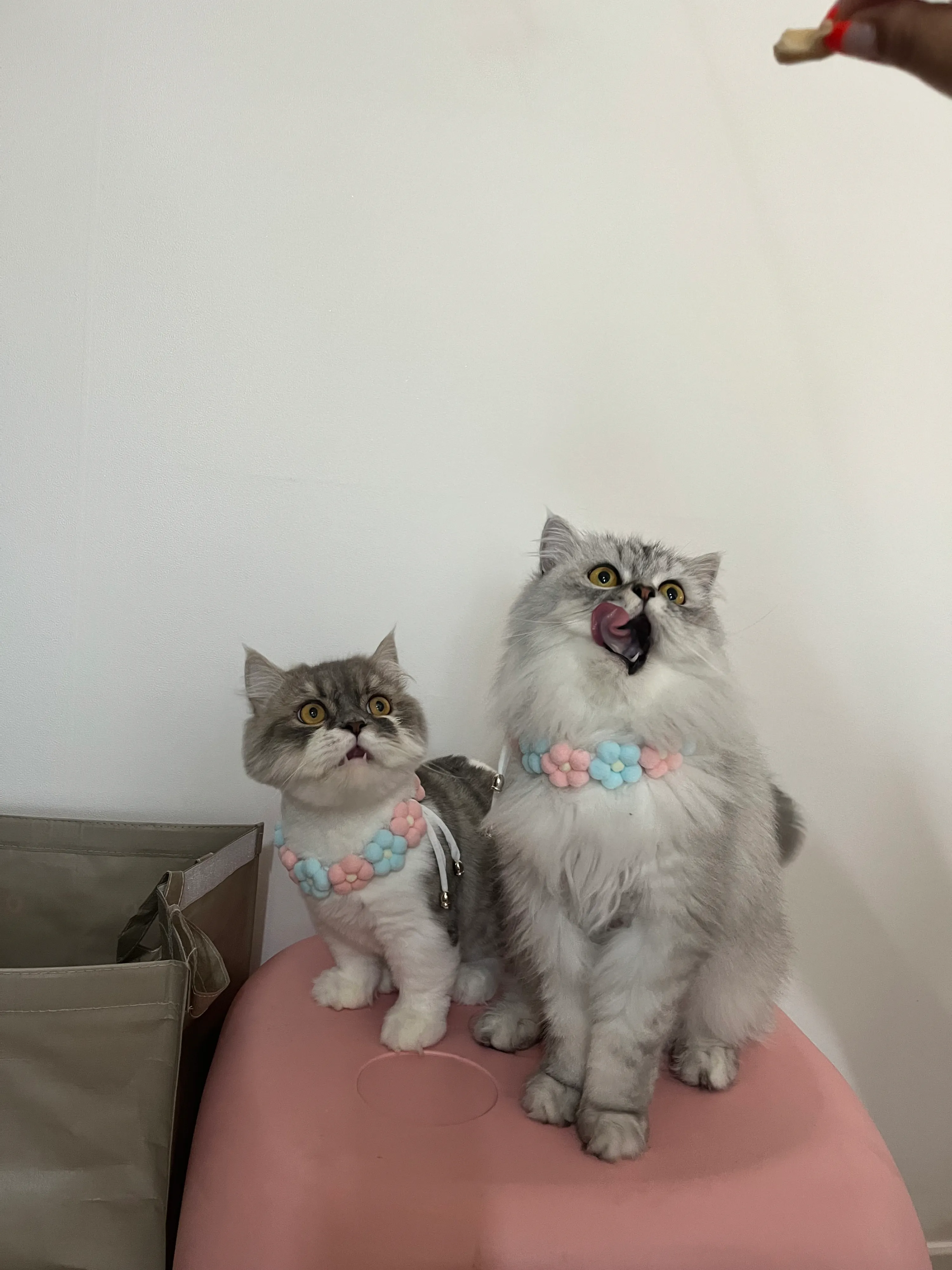 2번째 파일
