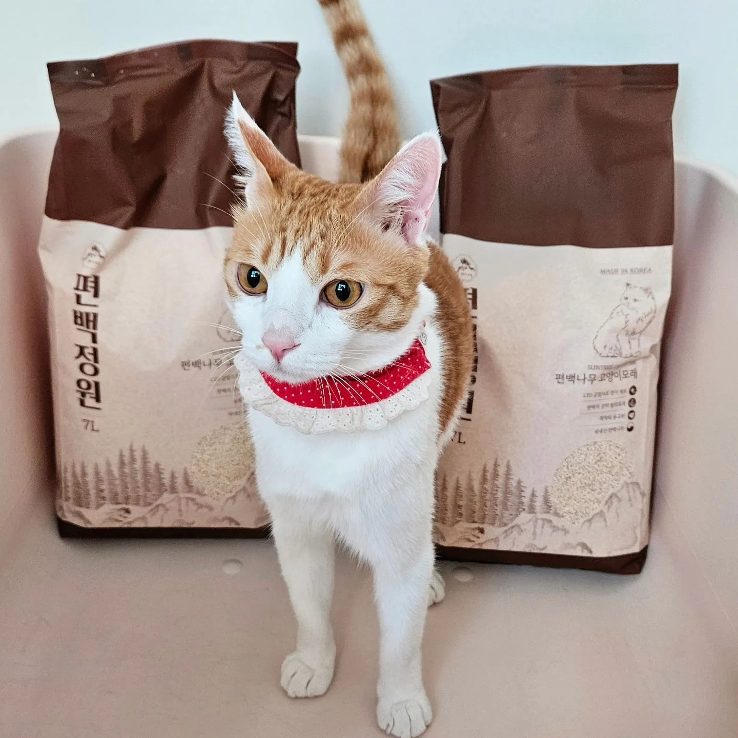 1번째 파일