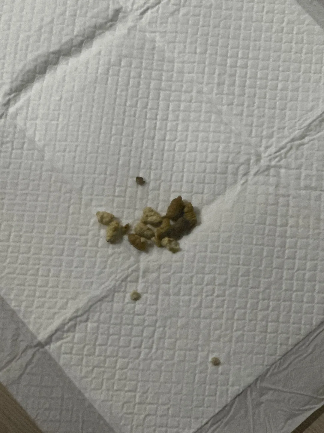 2번째 파일