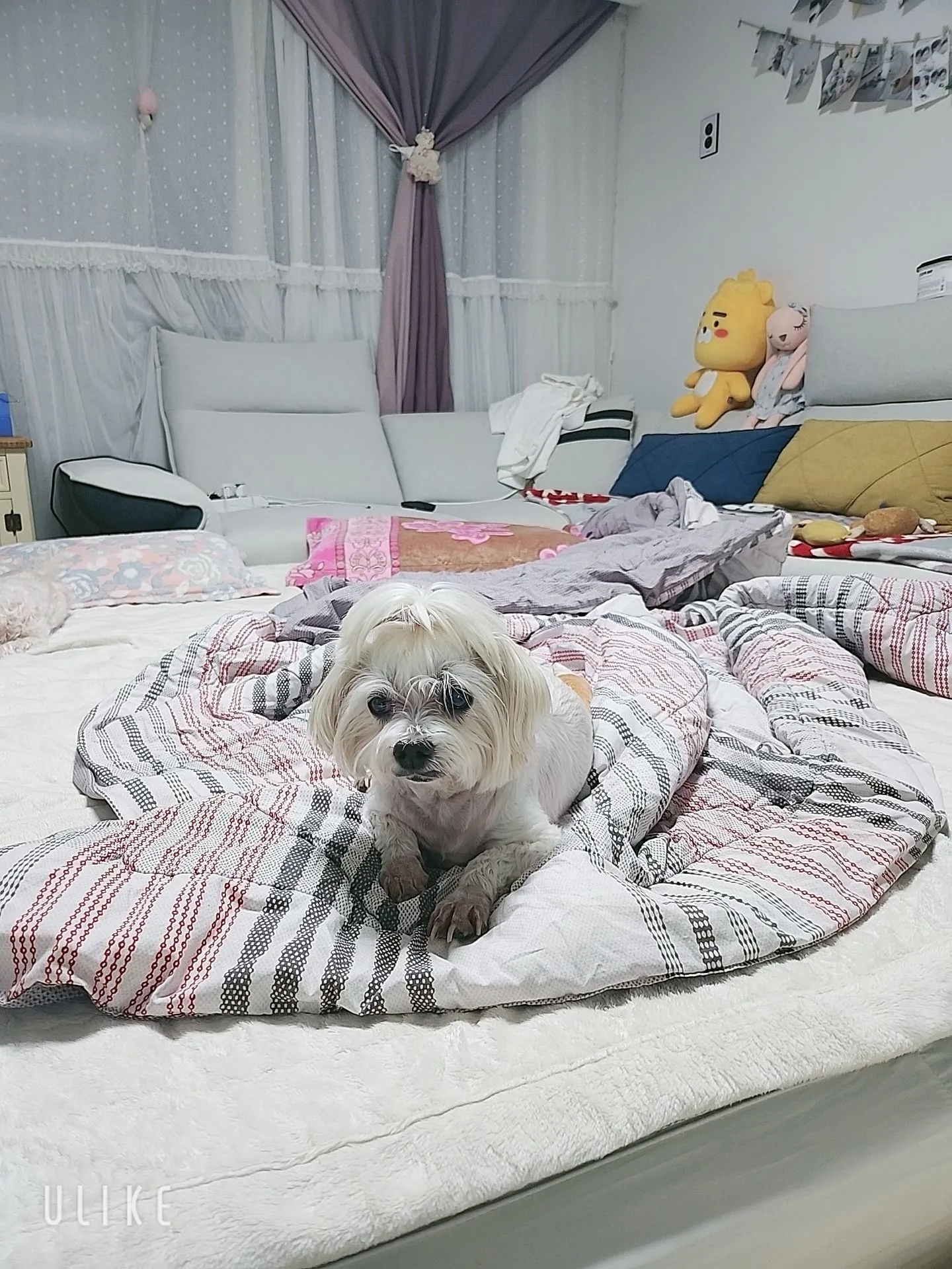 1번째 파일