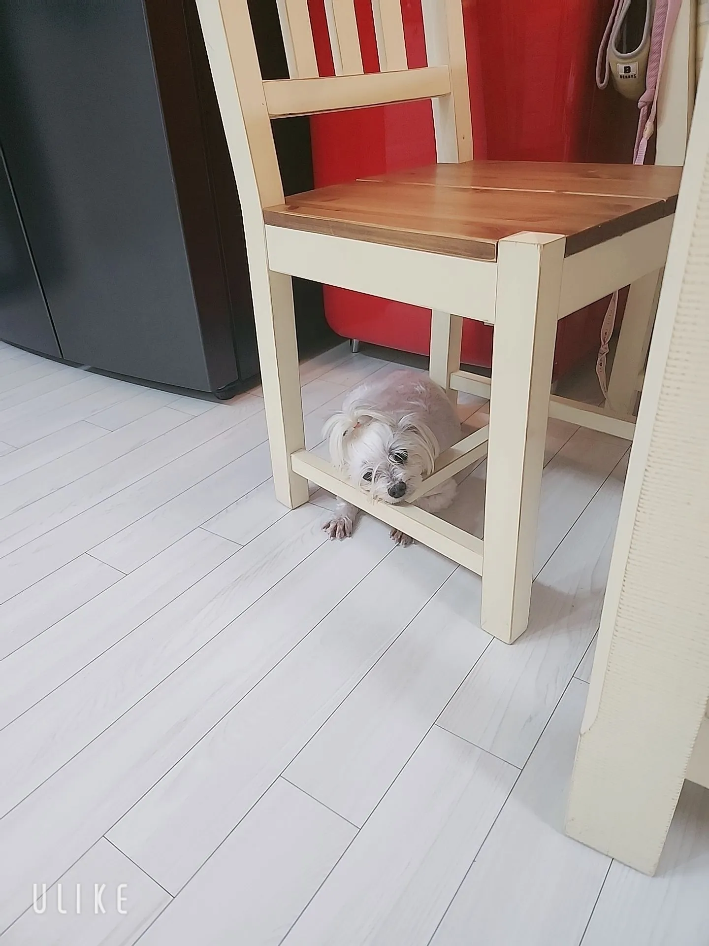 5번째 파일