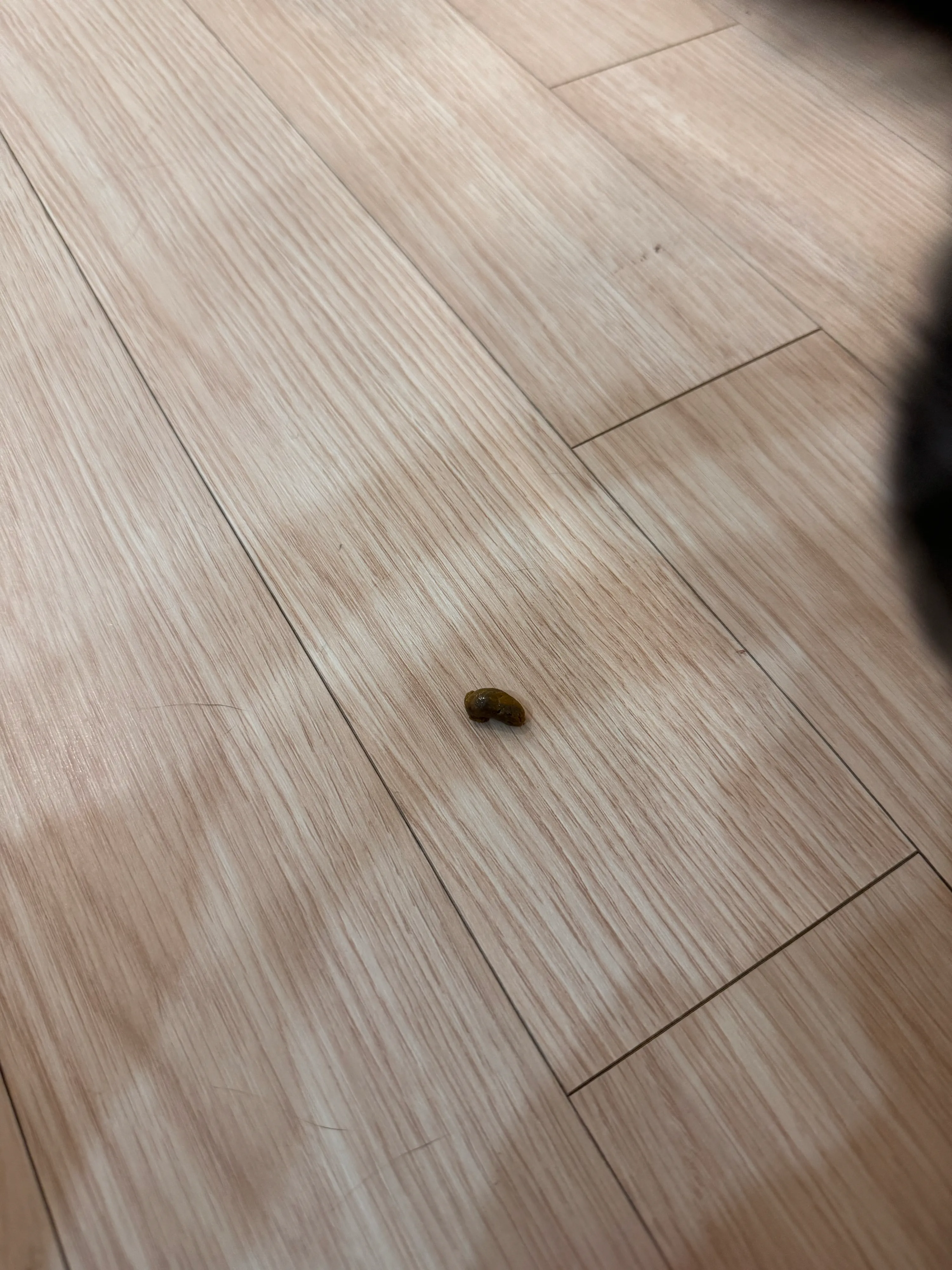 3번째 파일